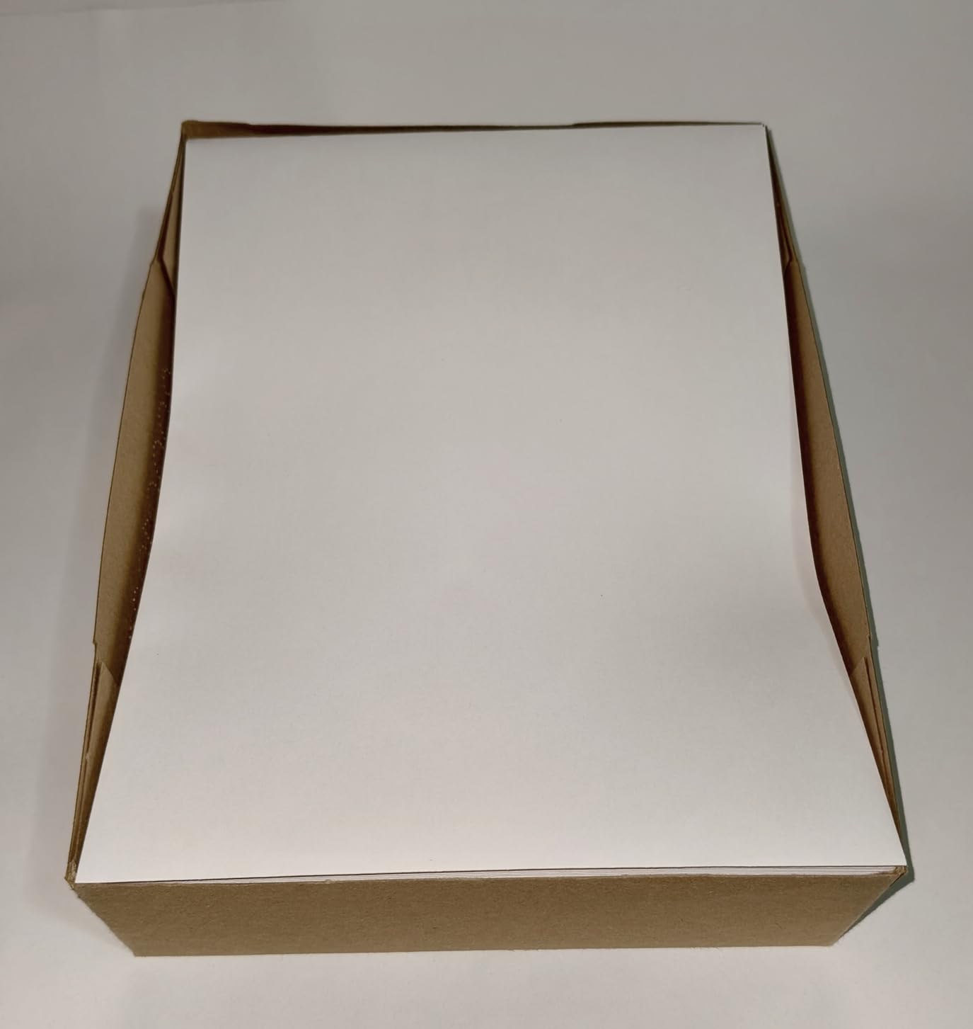 Amazon Basics Buste Catalogo Adesive 100 Pezzi Bianco