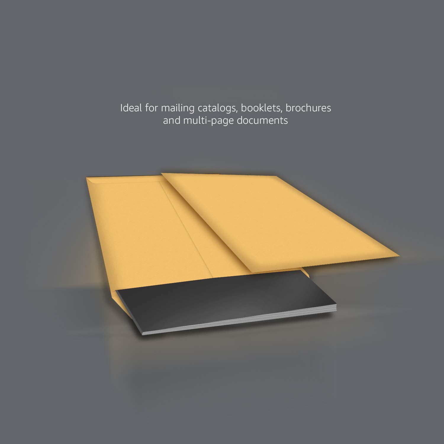 AmazonBasics Buste Catalogo Kraft Adesive 22,9x30,5cm 100 Pezzi