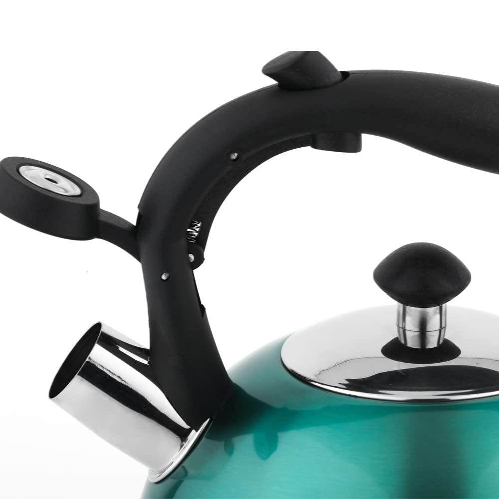 Amazon Basics Bollitore Acciaio Inox 2,3 L Blu Foglia Tè
