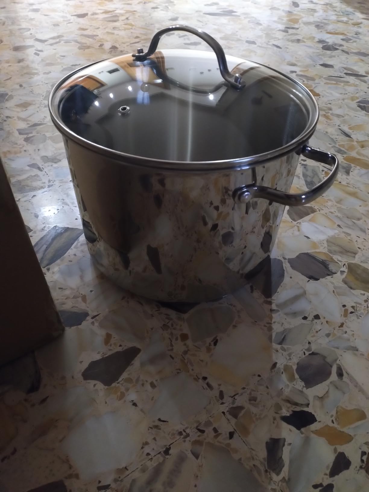 Amazon Basics Pentolone Acciaio Inox 7,6 L con Coperchio Vetro