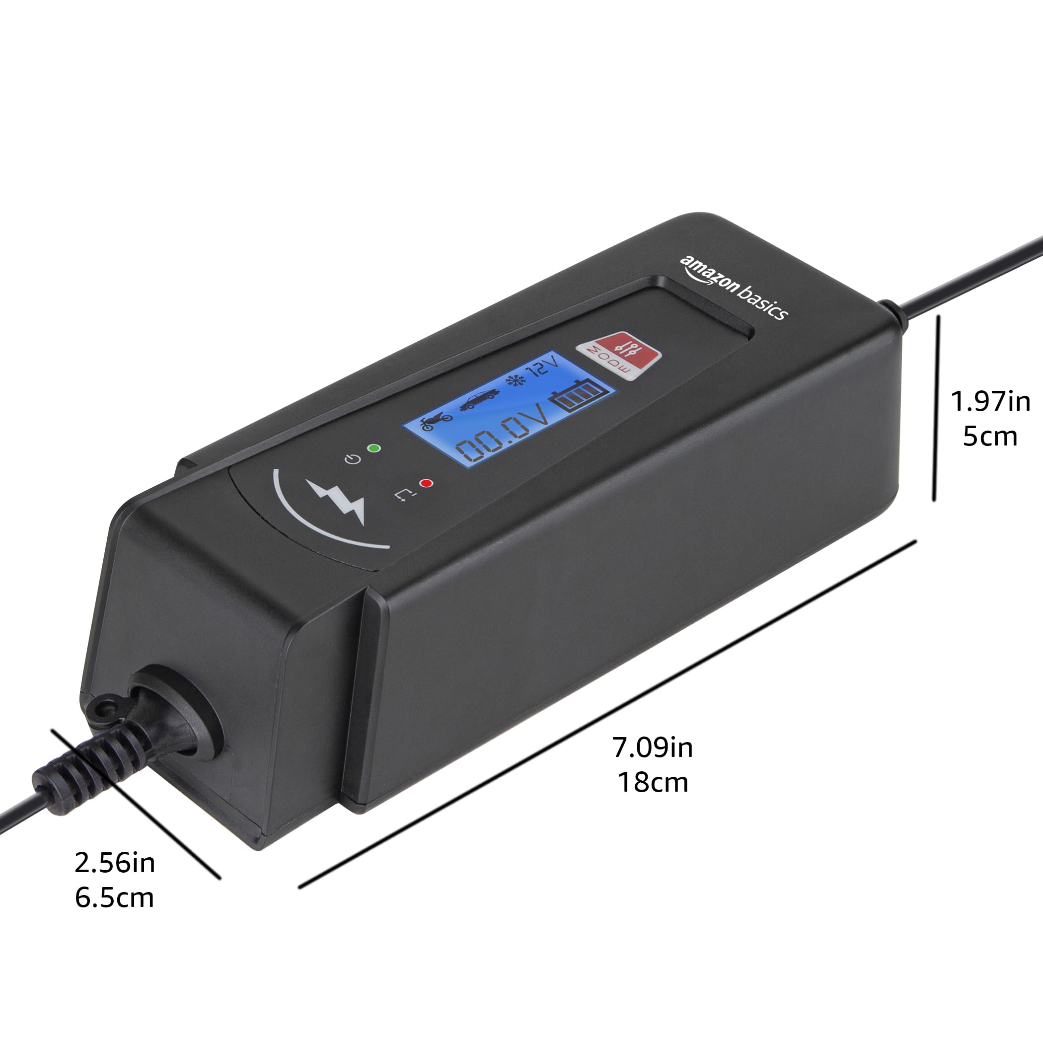 Amazon Basics Caricabatterie Auto 6V 12V 2A 4A Nero con Tester
