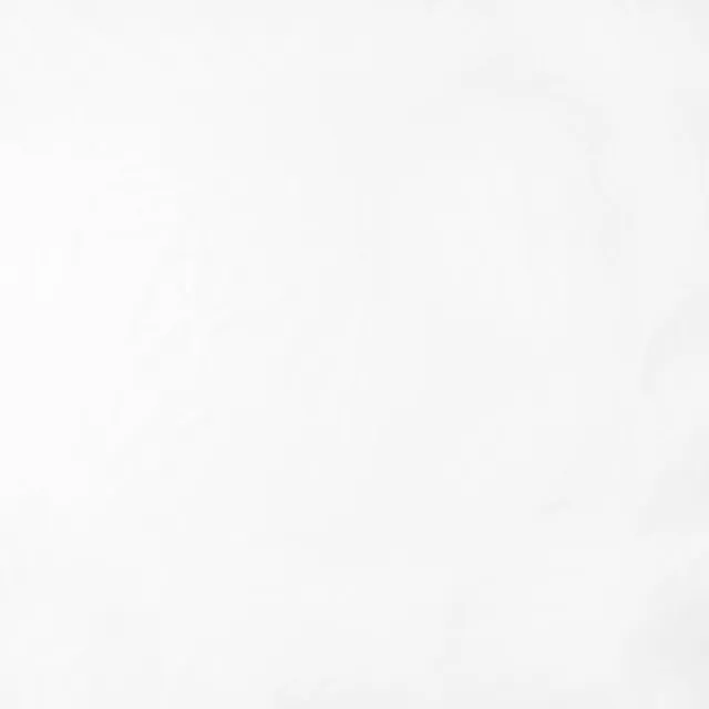 Amazon Basics Telo piante antigelo 3x9,1 m bianco