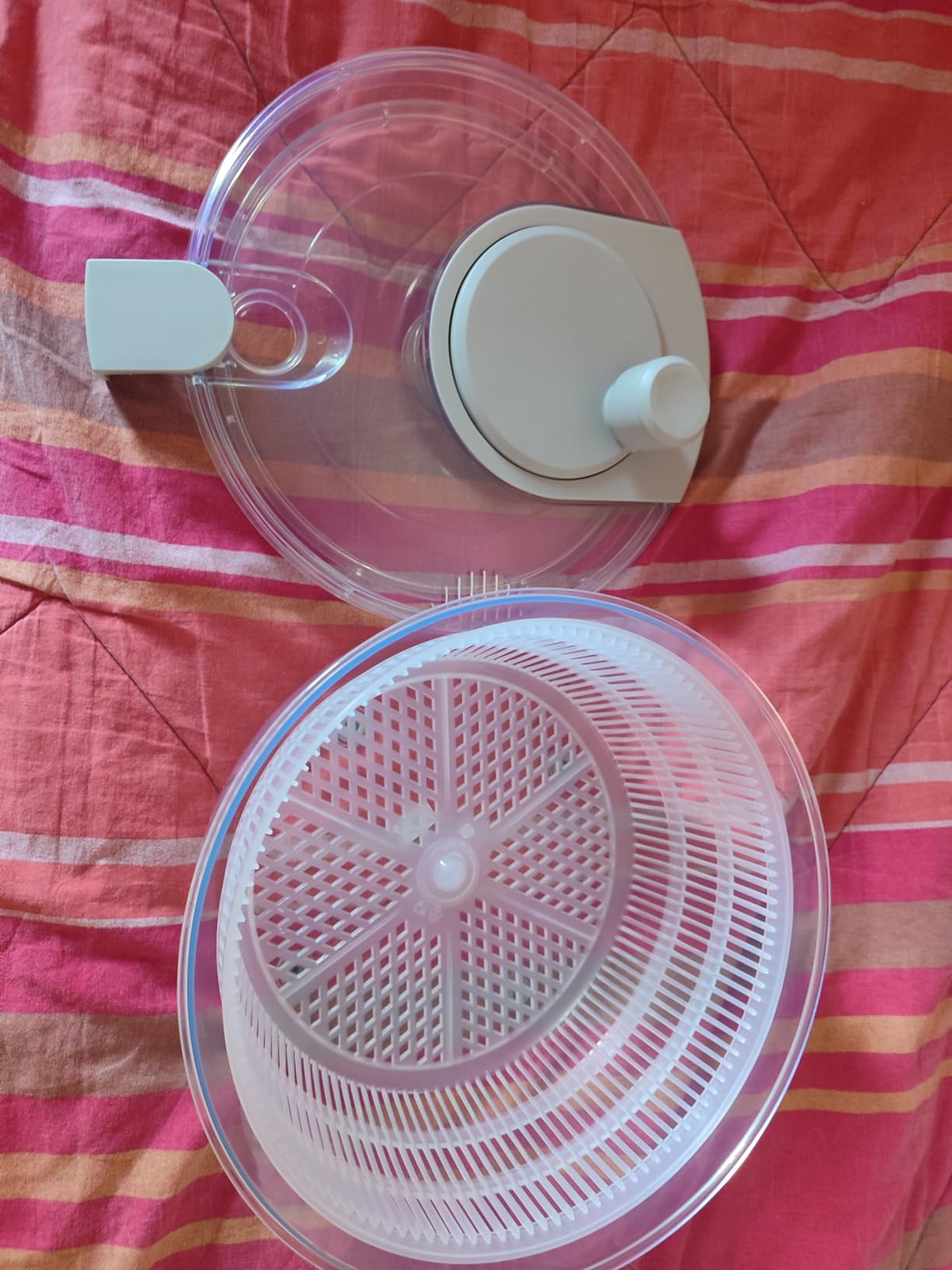 Amazon Basics centrifuga insalata 4L grigio lino senza BPA