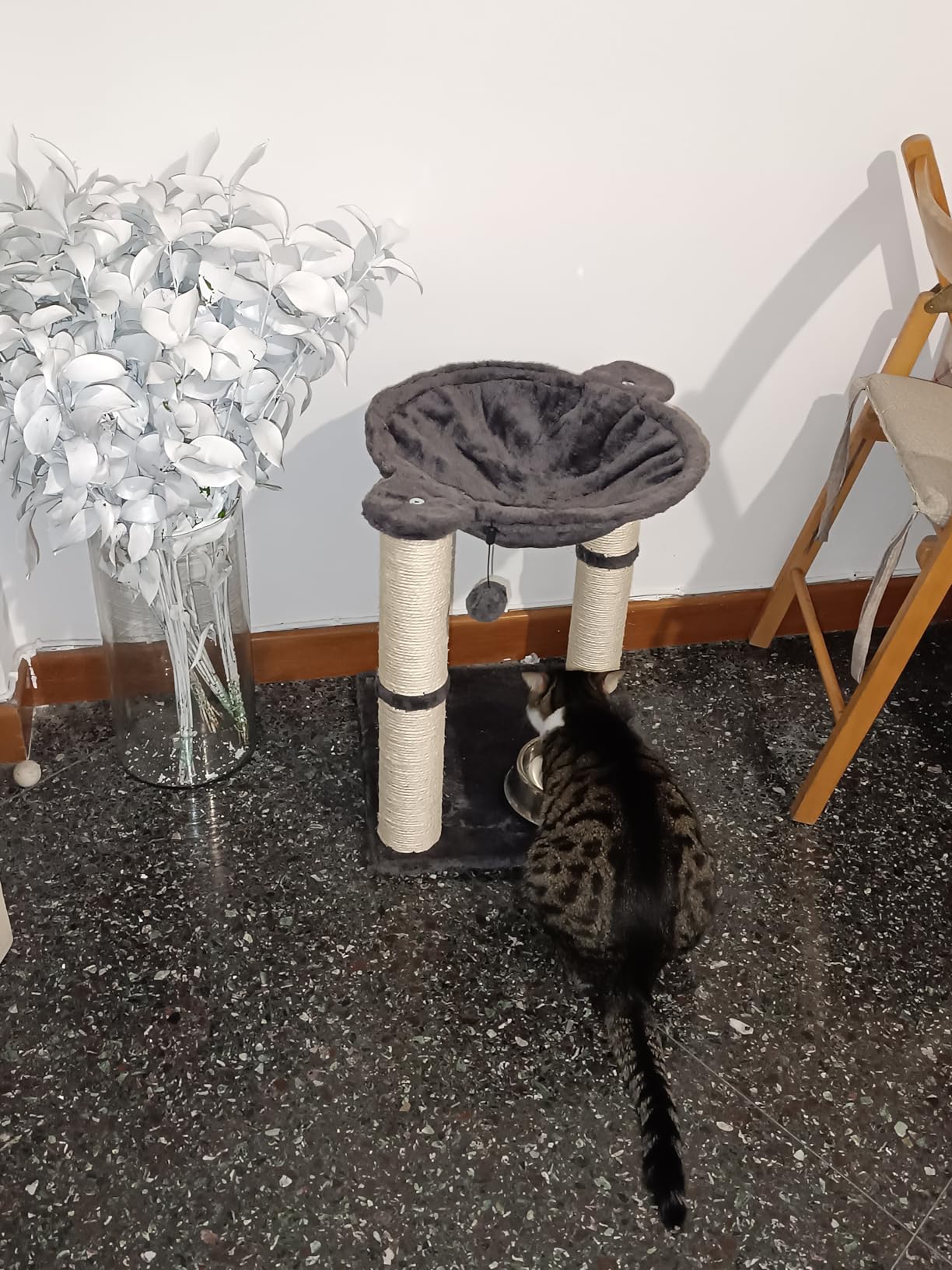 AmazonBasics Albero per Gatti con Amaca Tiragraffi Grigio