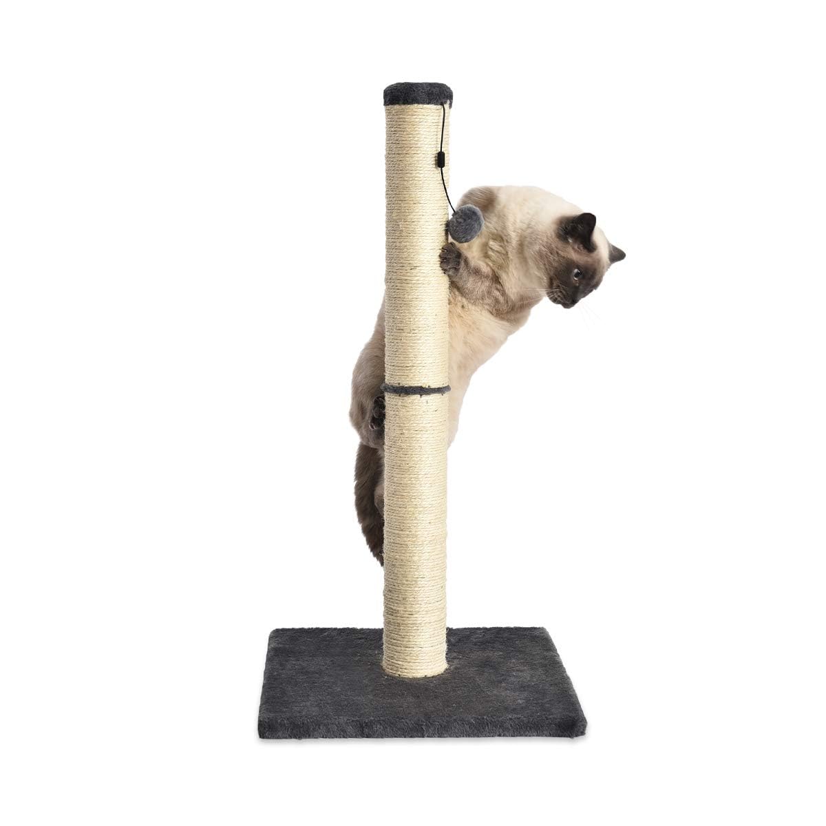 AmazonBasics Tiragraffi gatti standard 80 cm grigio juta