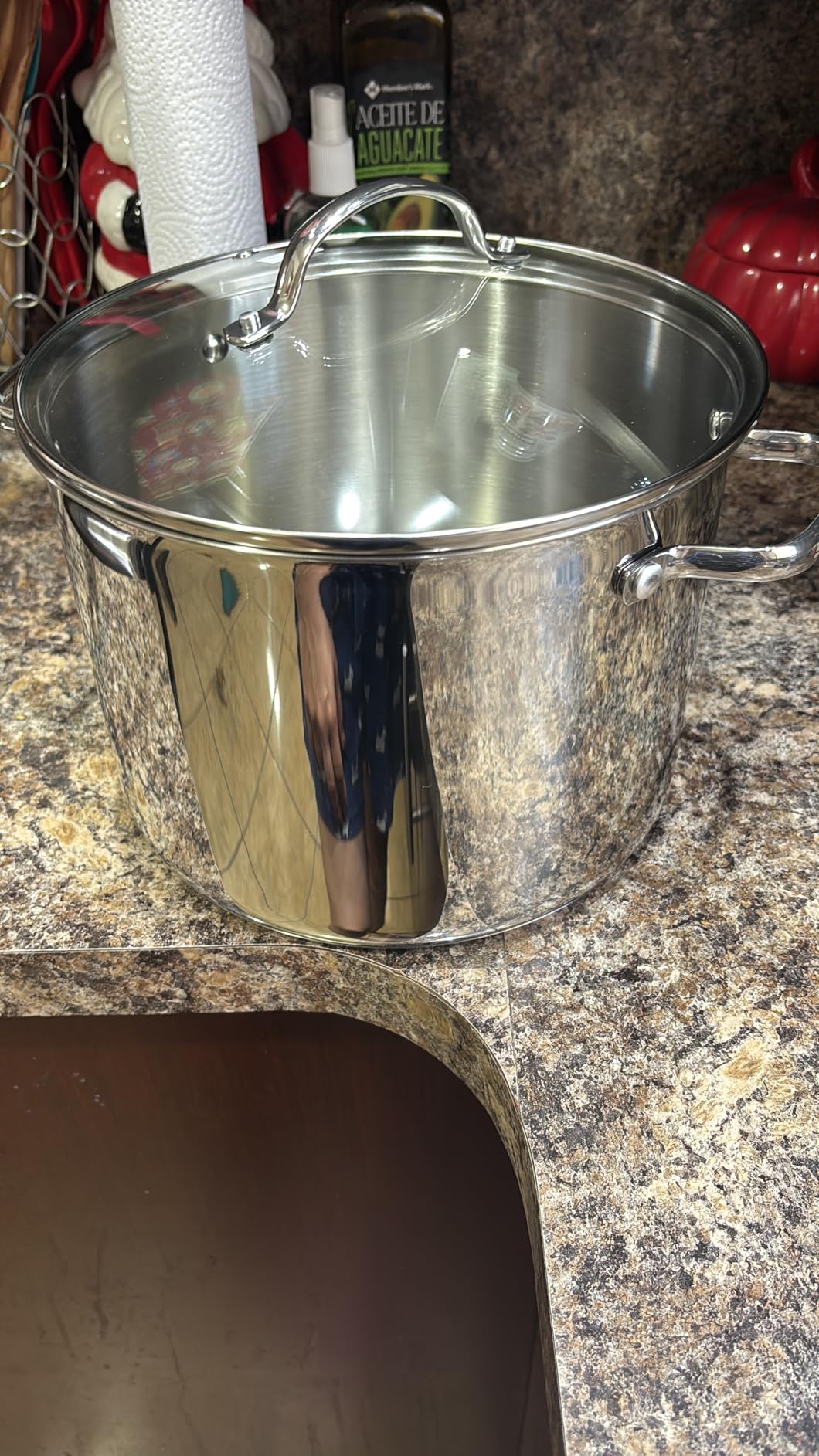 Amazon Basics Pentolone Acciaio Inox 7,6 L con Coperchio Vetro