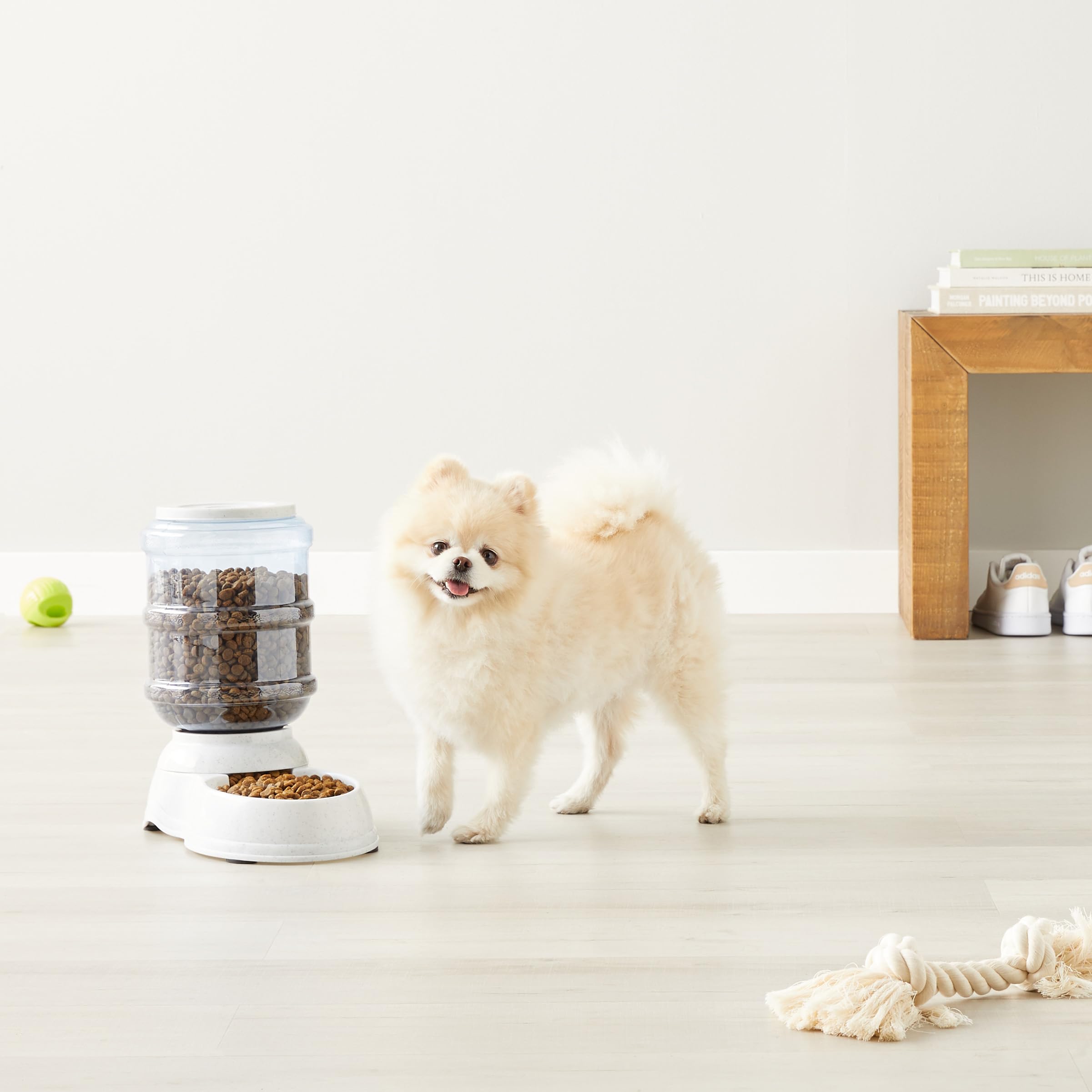 AmazonBasics Distributore cibo S 2,72 kg gravità