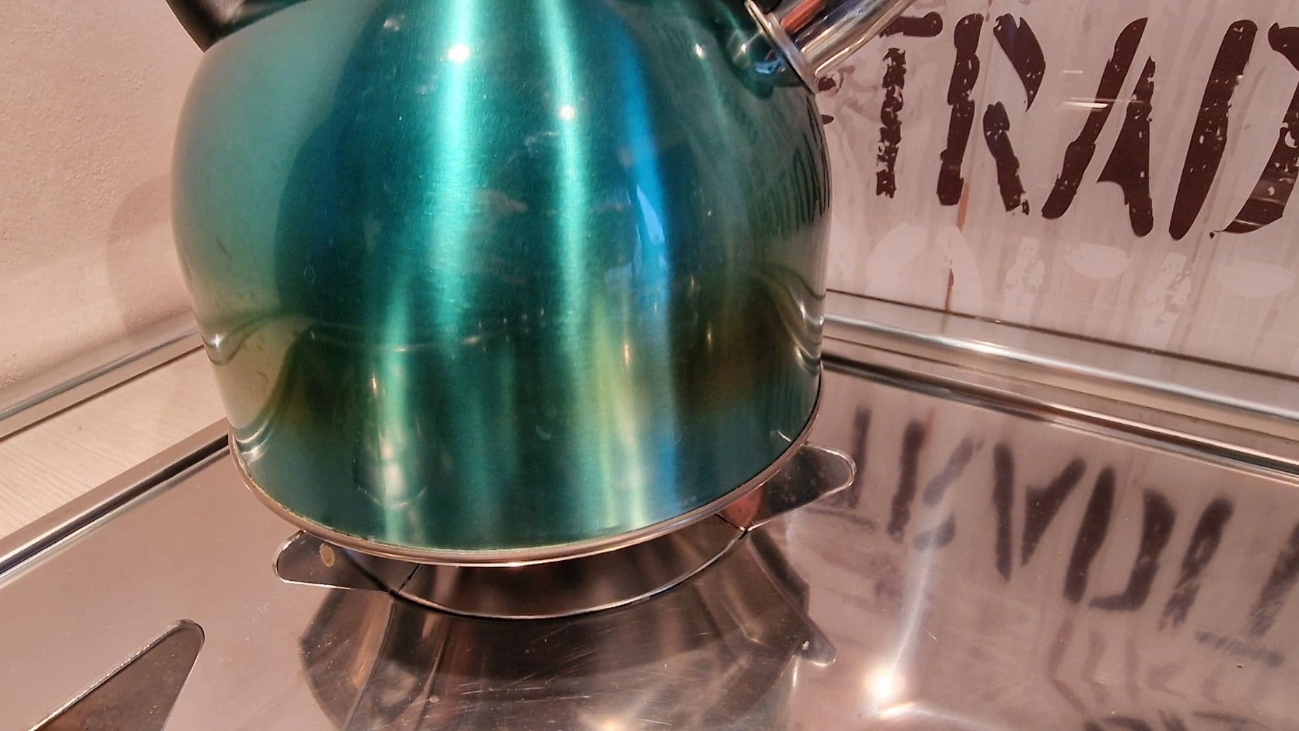 Amazon Basics Bollitore Acciaio Inox 2,3 L Blu Foglia Tè