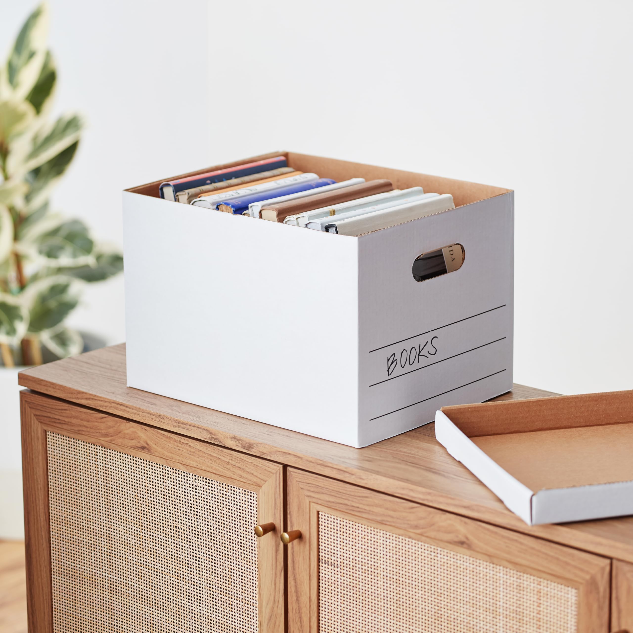 AmazonBasics Scatole archiviazione medie bianche 12 pezzi
