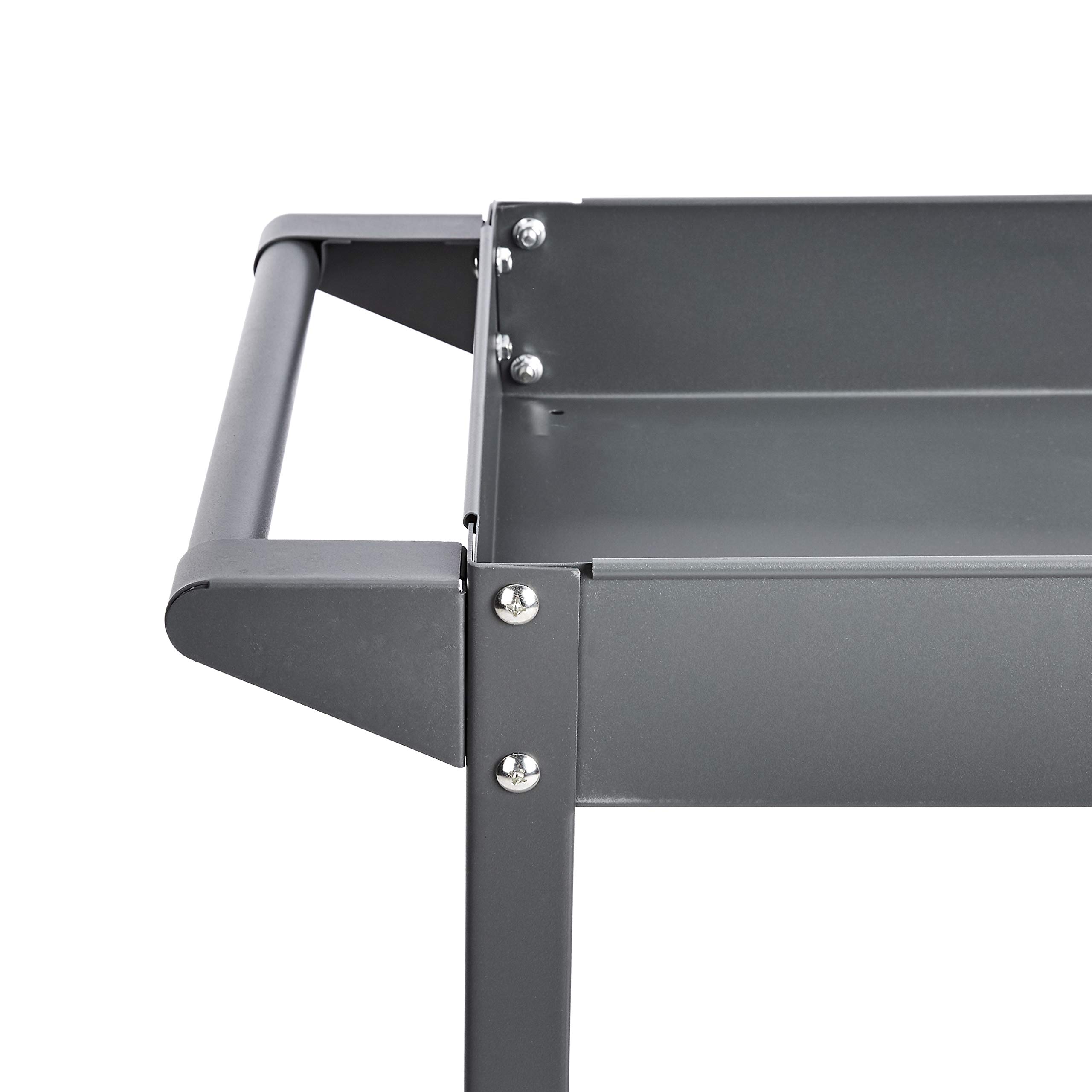 AmazonBasics Carrello Multiuso Acciaio 2 Ripiani Grigio 181 kg