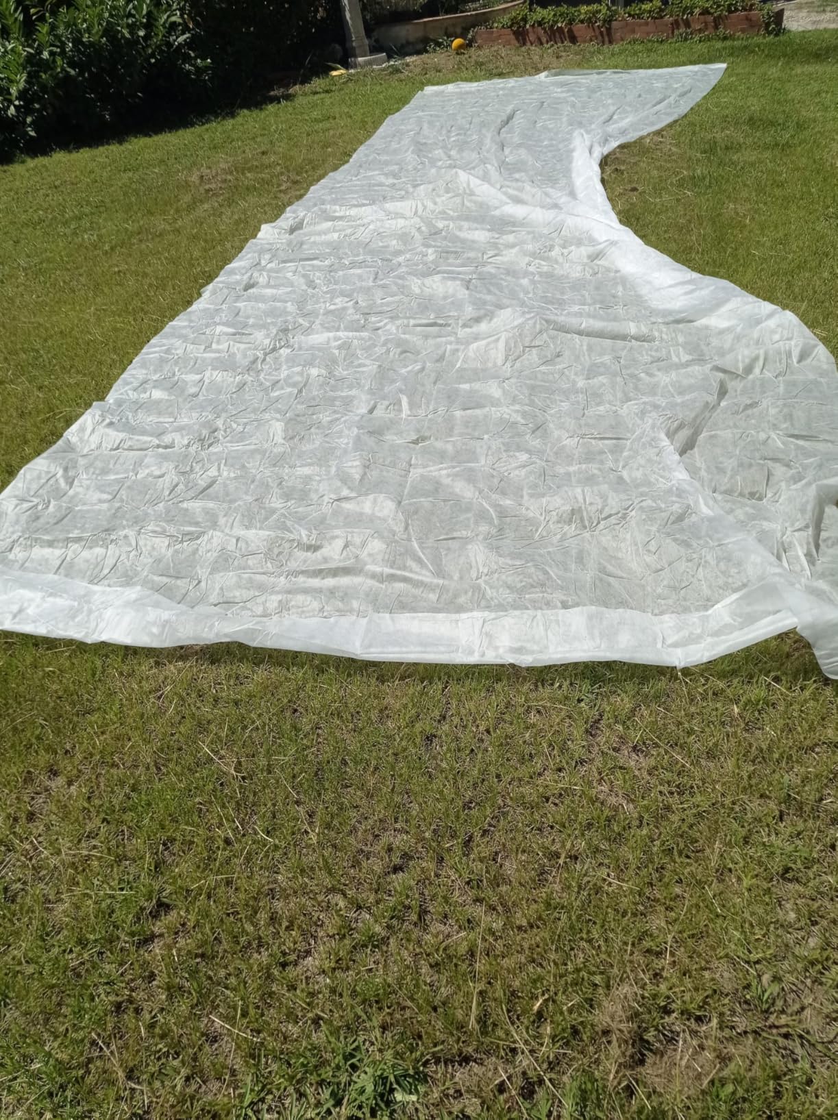 Amazon Basics Telo piante antigelo 3x9,1 m bianco
