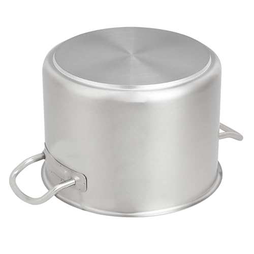 AmazonBasics Pentola Acciaio Inox 9,5 Litri con Coperchio