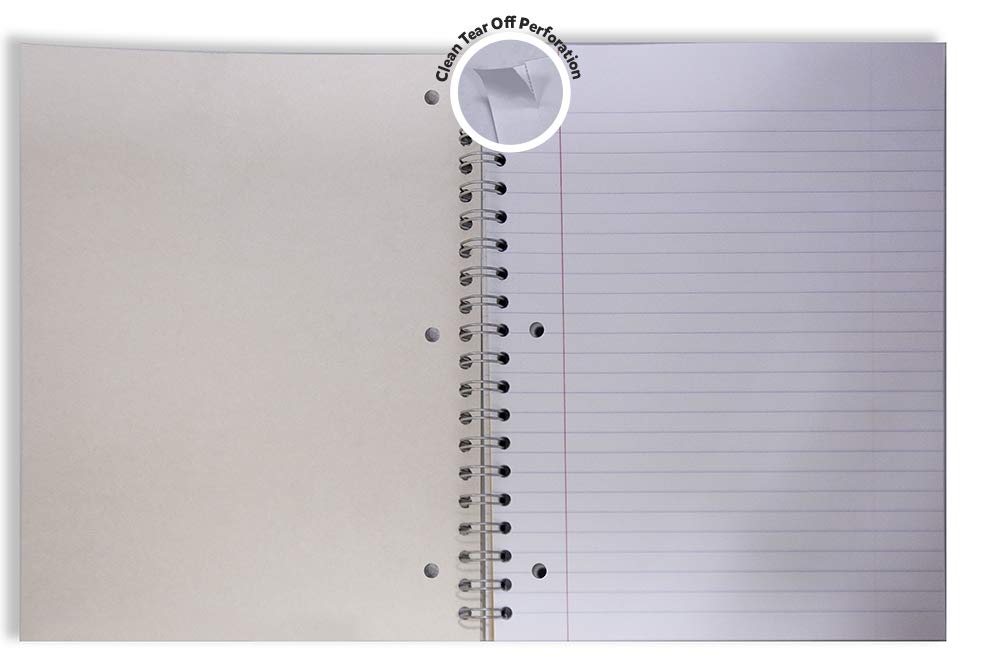 Amazon Basics Quaderni a Righe Larghe 3 Soggetti 6 Pezzi