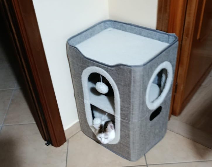 AmazonBasics Cuccia Gatto Squalo Grigio con Cuscino Lavabile