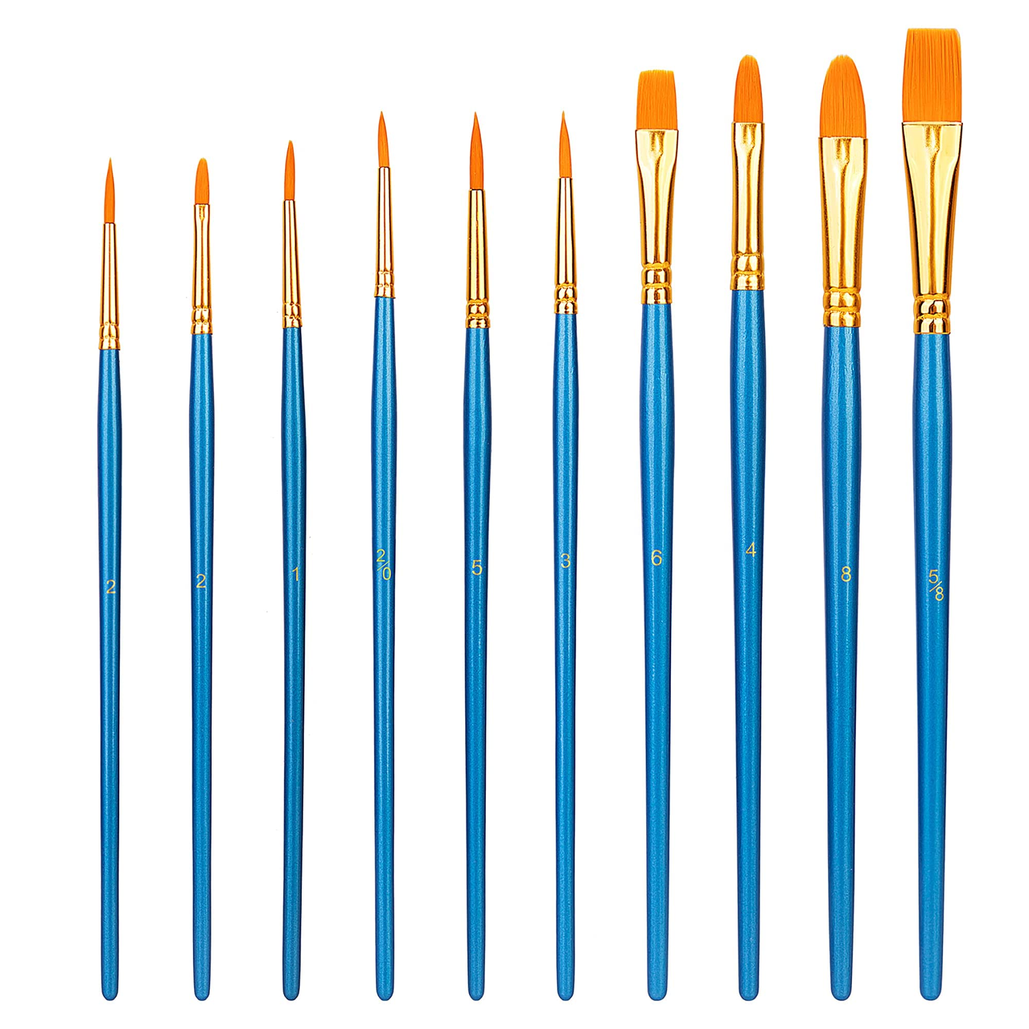 AmazonBasics Set 10 Pennelli Pittura Blu Acrilico