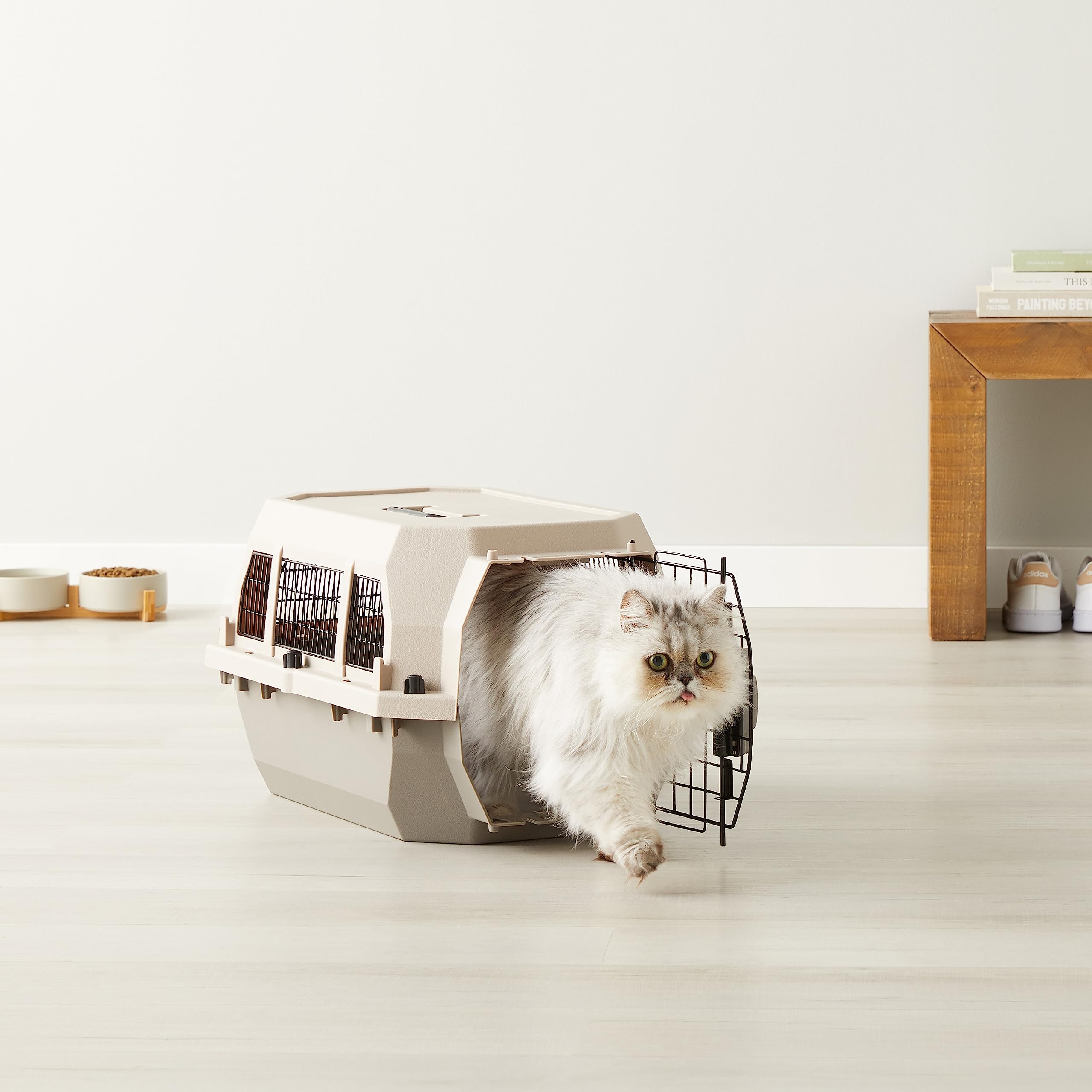 AmazonBasics Trasportino Rigido 60x40x33 cm per Cani e Gatti