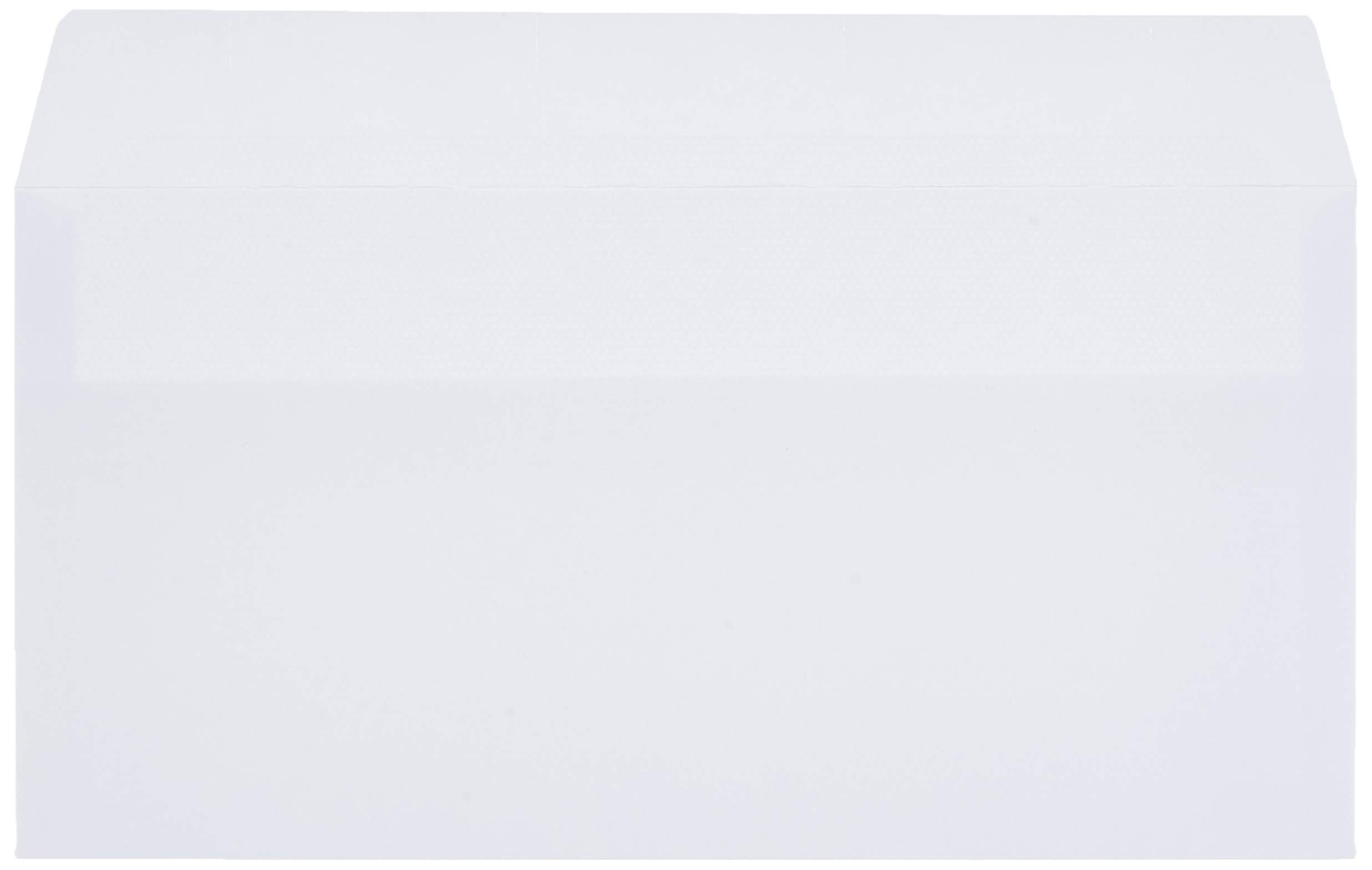AmazonBasics Buste Autosigillanti DL Bianche 100g 500 Pezzi