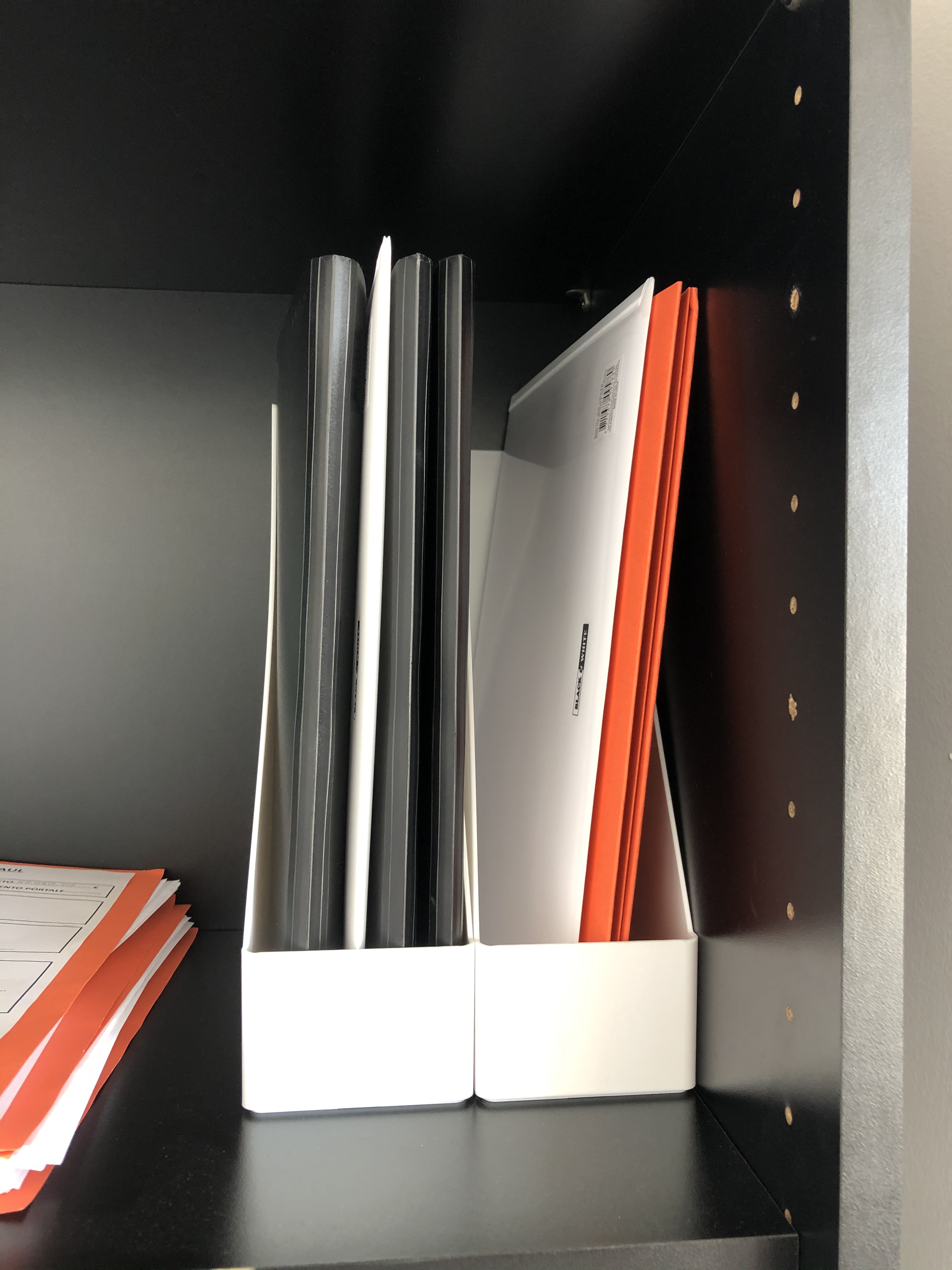 Amazon Basics Organizer Portariviste Plastica 2pz Bianco