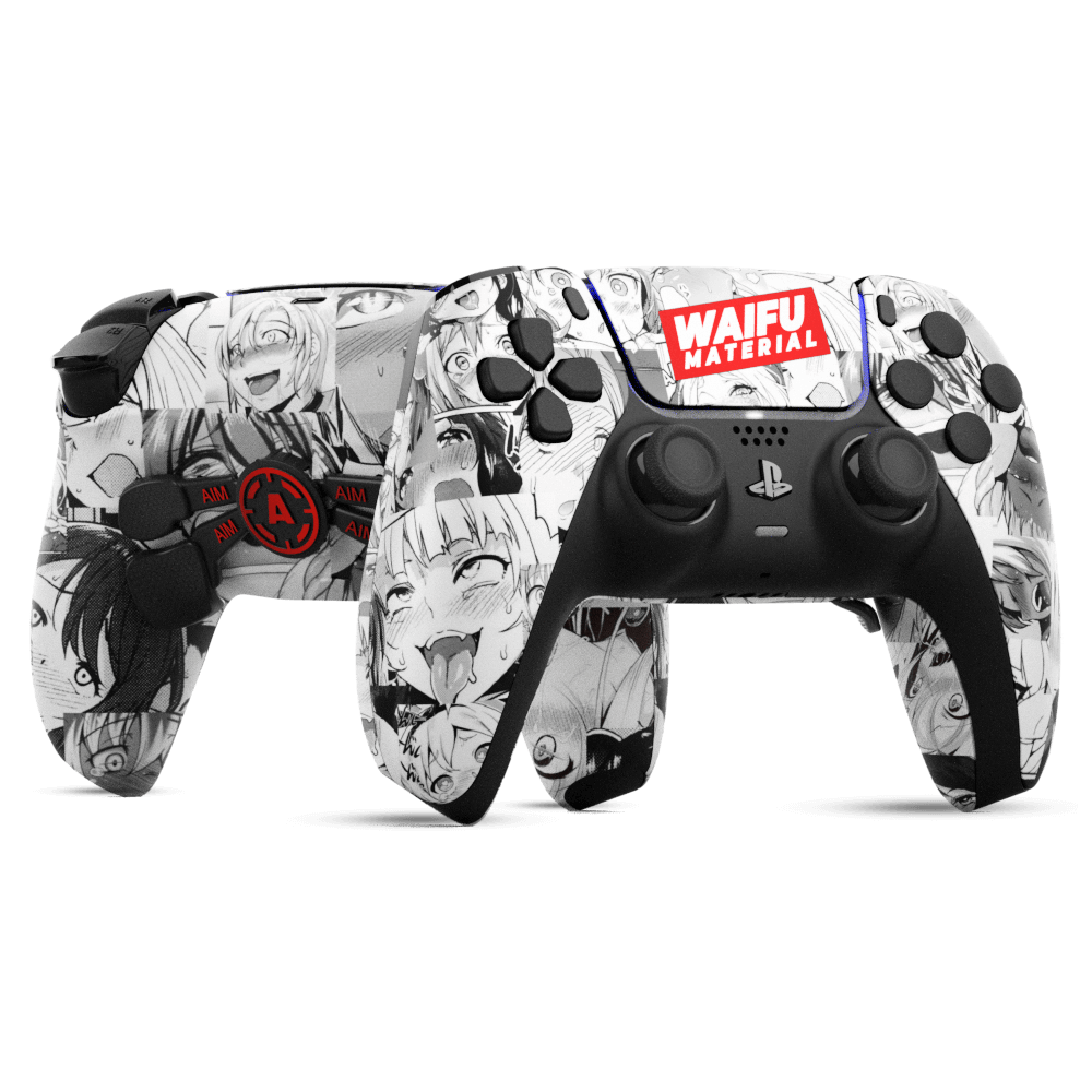 Aim Controller Waifu pad PS5 fullprint