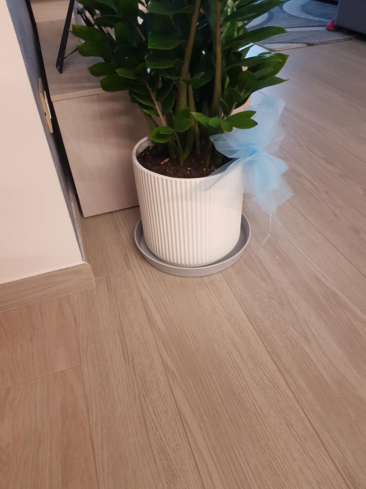AmazonBasics Vasi Ceramica Scanalati Set 3 Bianco con Drenaggio
