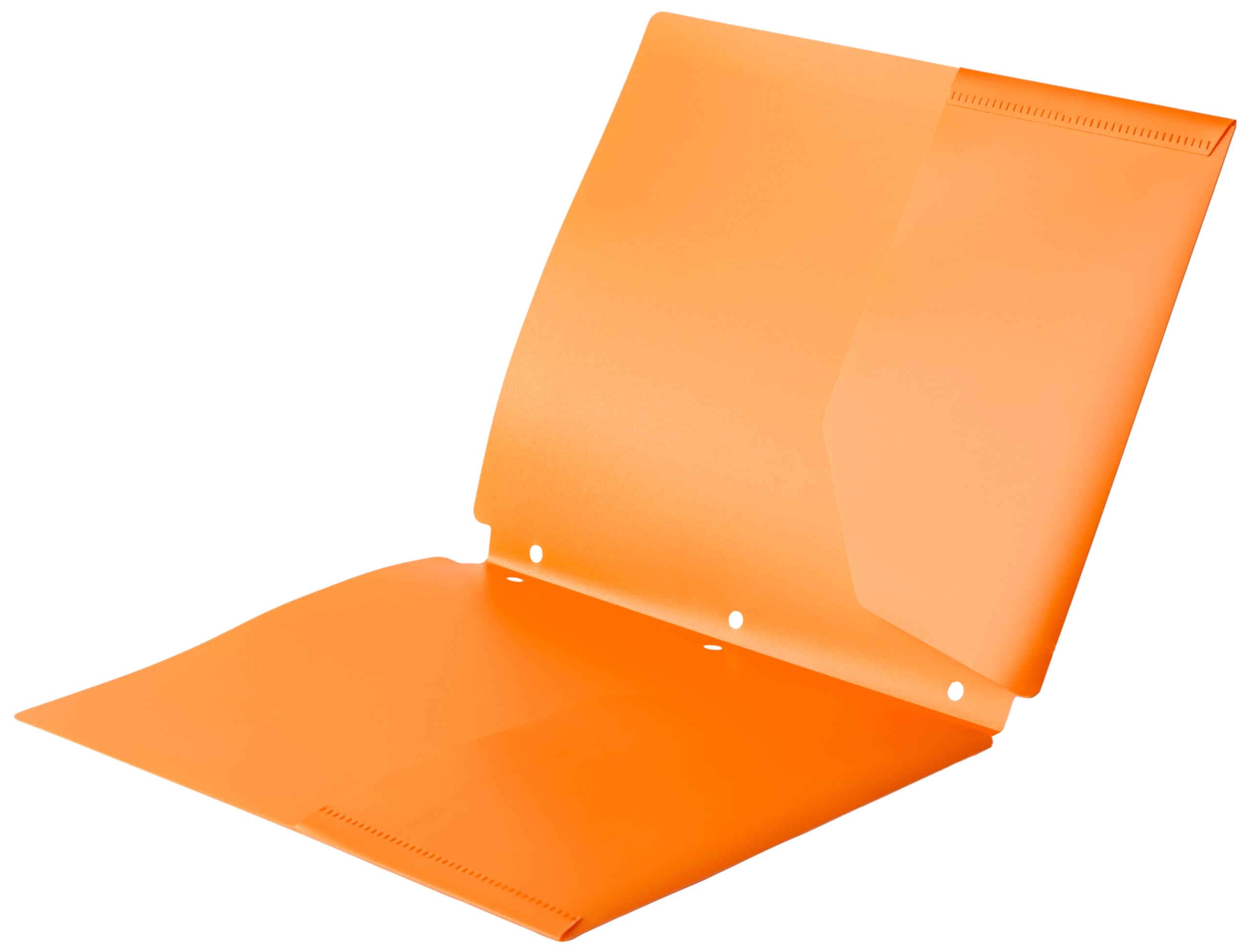 Amazon Basics cartelline 2 tasche 3 fori colori 12 pezzi