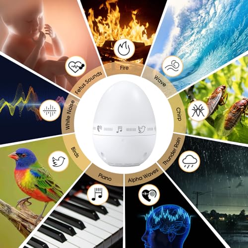 RealPlus neonati macchina rumore bianco USB-C 9 suoni