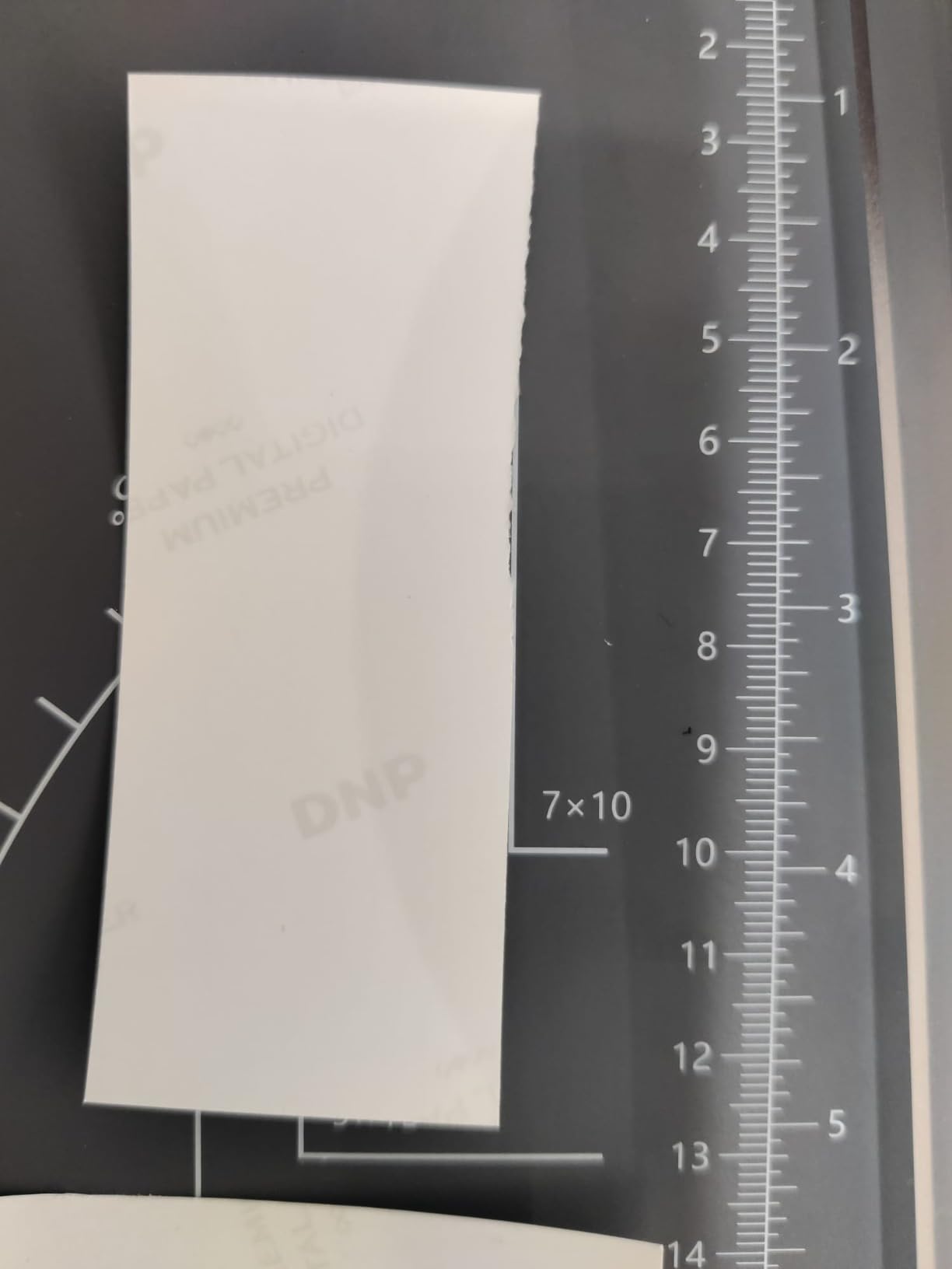 Amazon Basics taglierina rotante per carta A3 base metallo 10 fogli