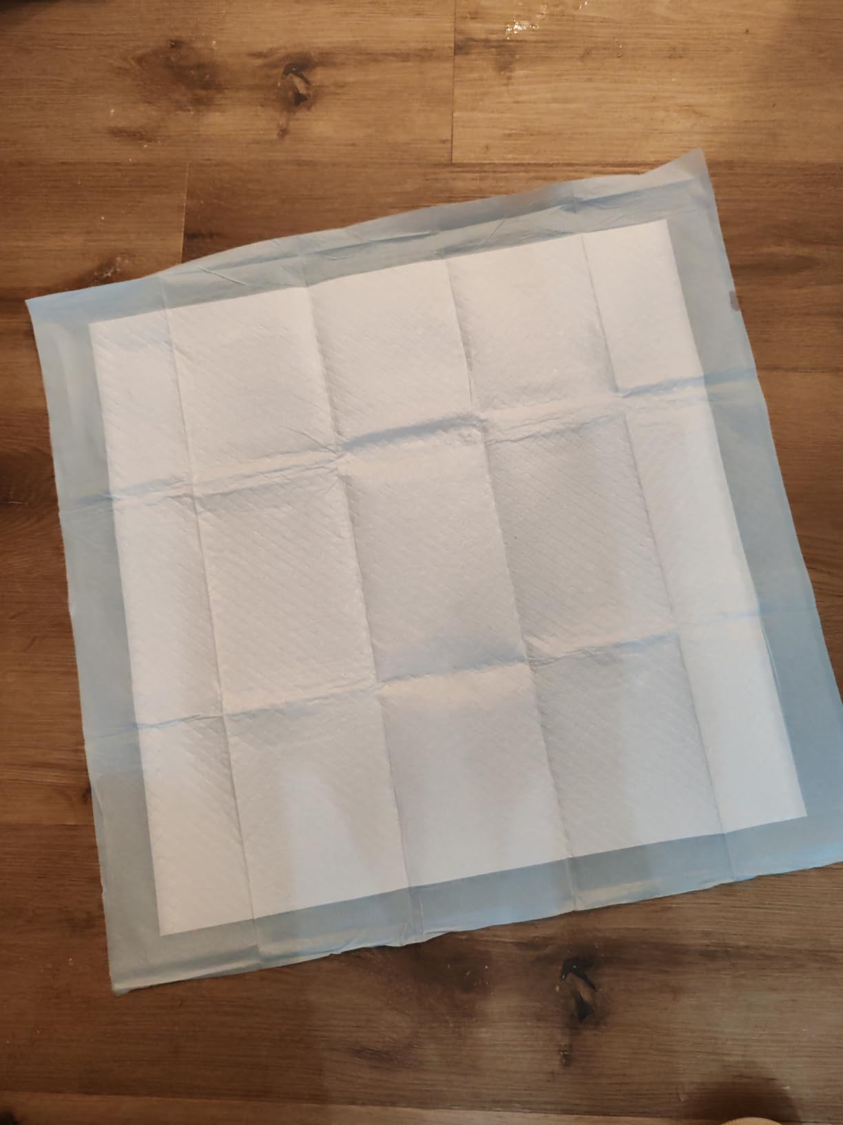 Amazon Basics Tappetini Assorbenti Cani 71x86 cm 40 Pezzi 5 Strati
