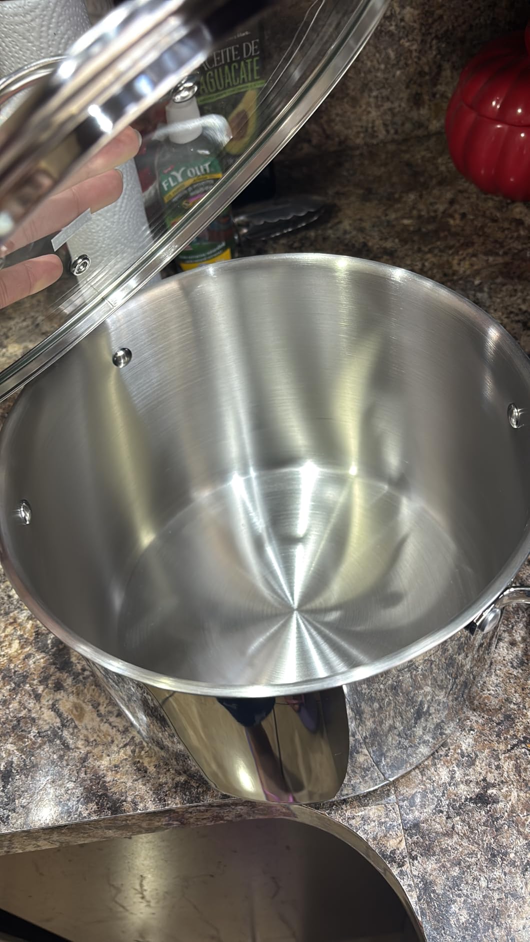 Amazon Basics Pentolone Acciaio Inox 7,6 L con Coperchio Vetro