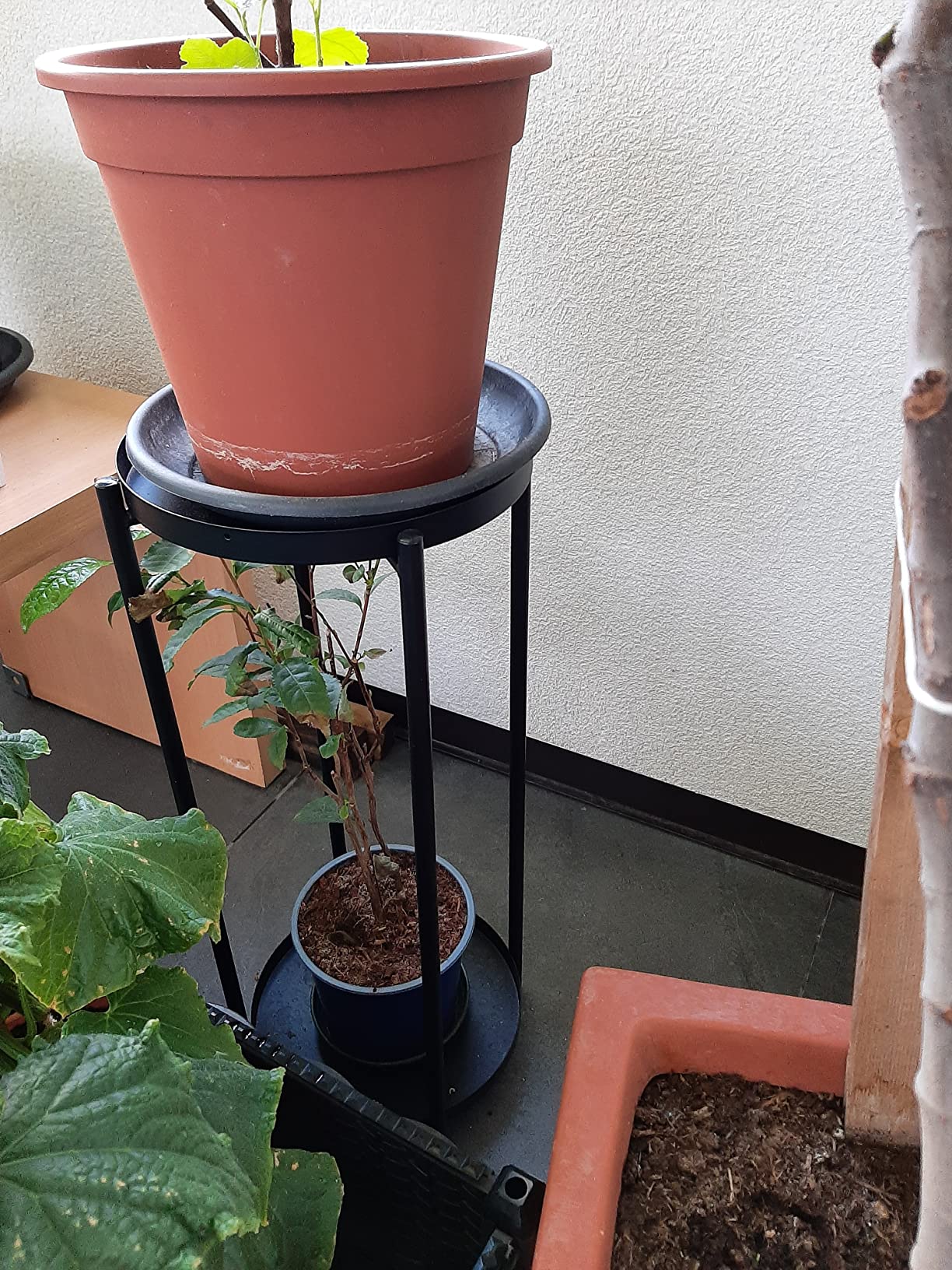 AmazonBasics mobile portapiante rotondo nero acciaio