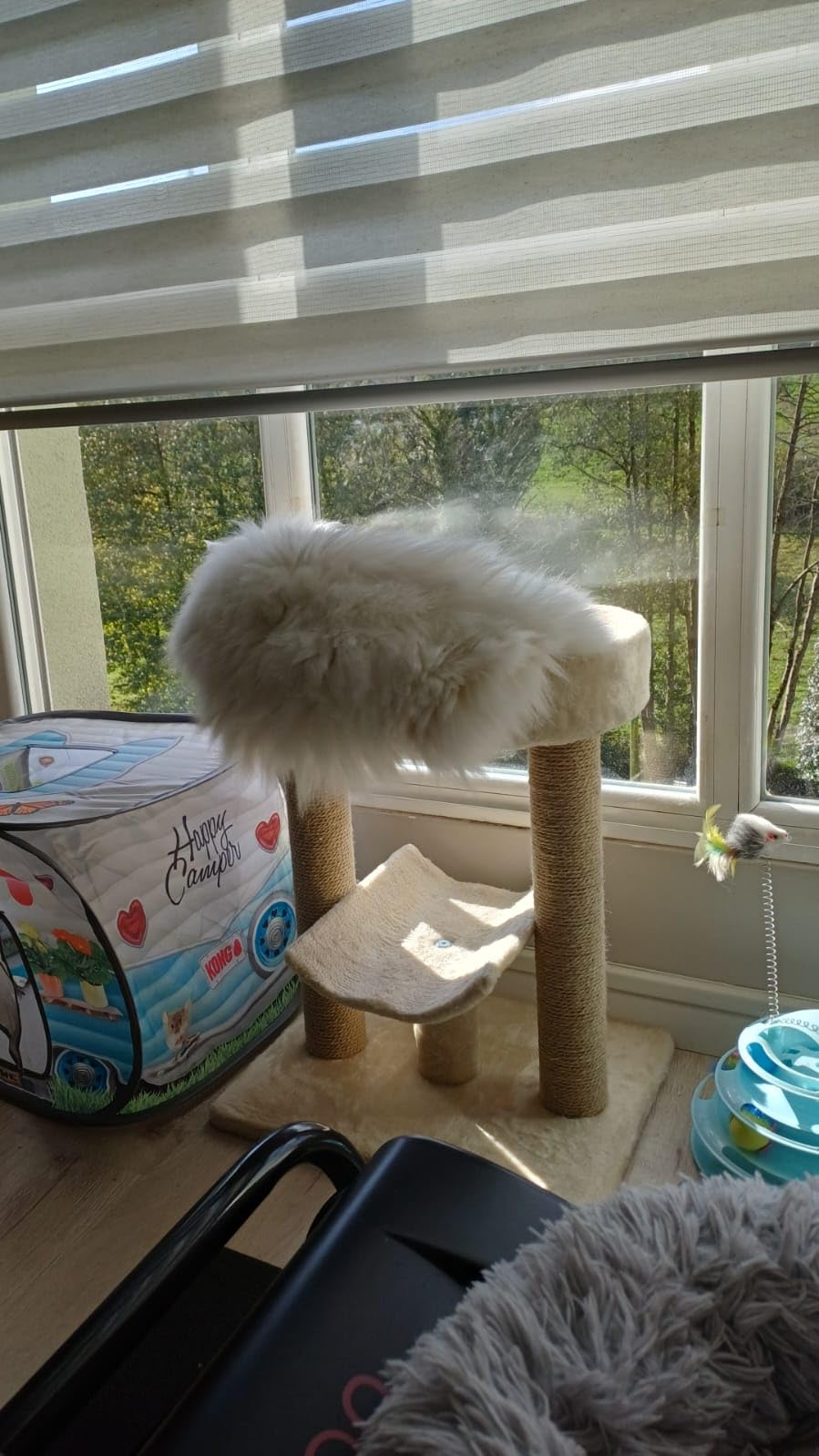 Amazon Basics Albero per Gatti Beige con Tiragraffi Iuta
