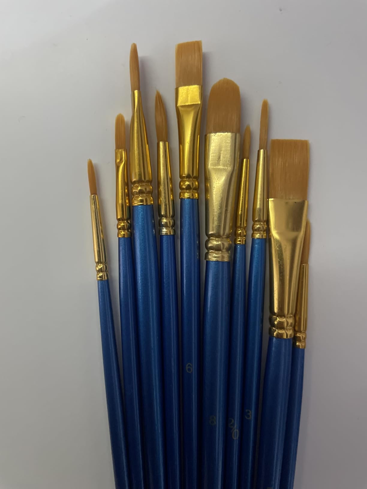 AmazonBasics Set 10 Pennelli Pittura Blu Acrilico