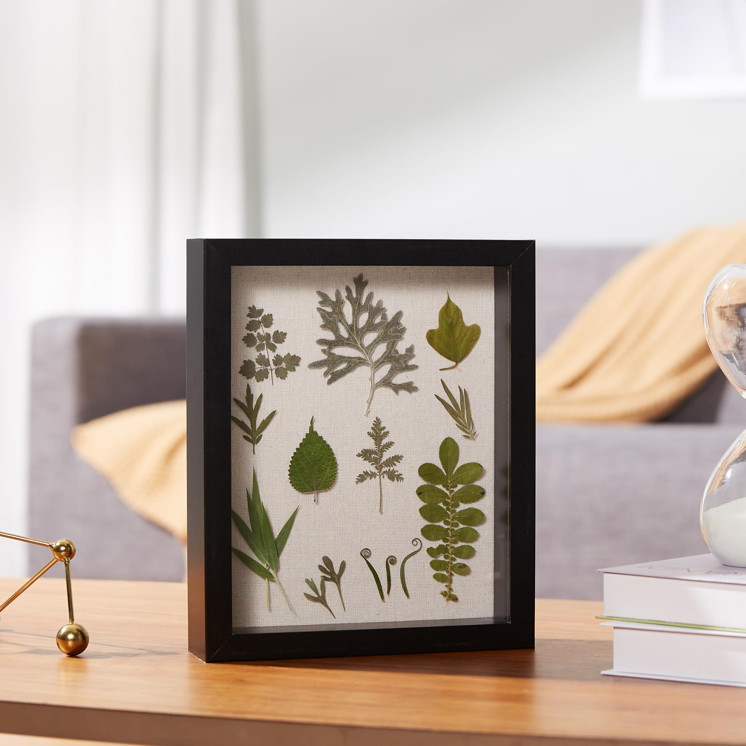 Amazon Basics Cornice Shadow Box Legno 20x25 cm Nero Vetro