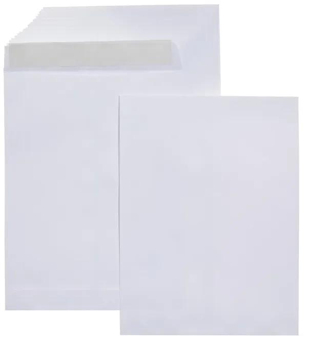 Amazon Basics Buste Catalogo Adesive 100 Pezzi Bianco