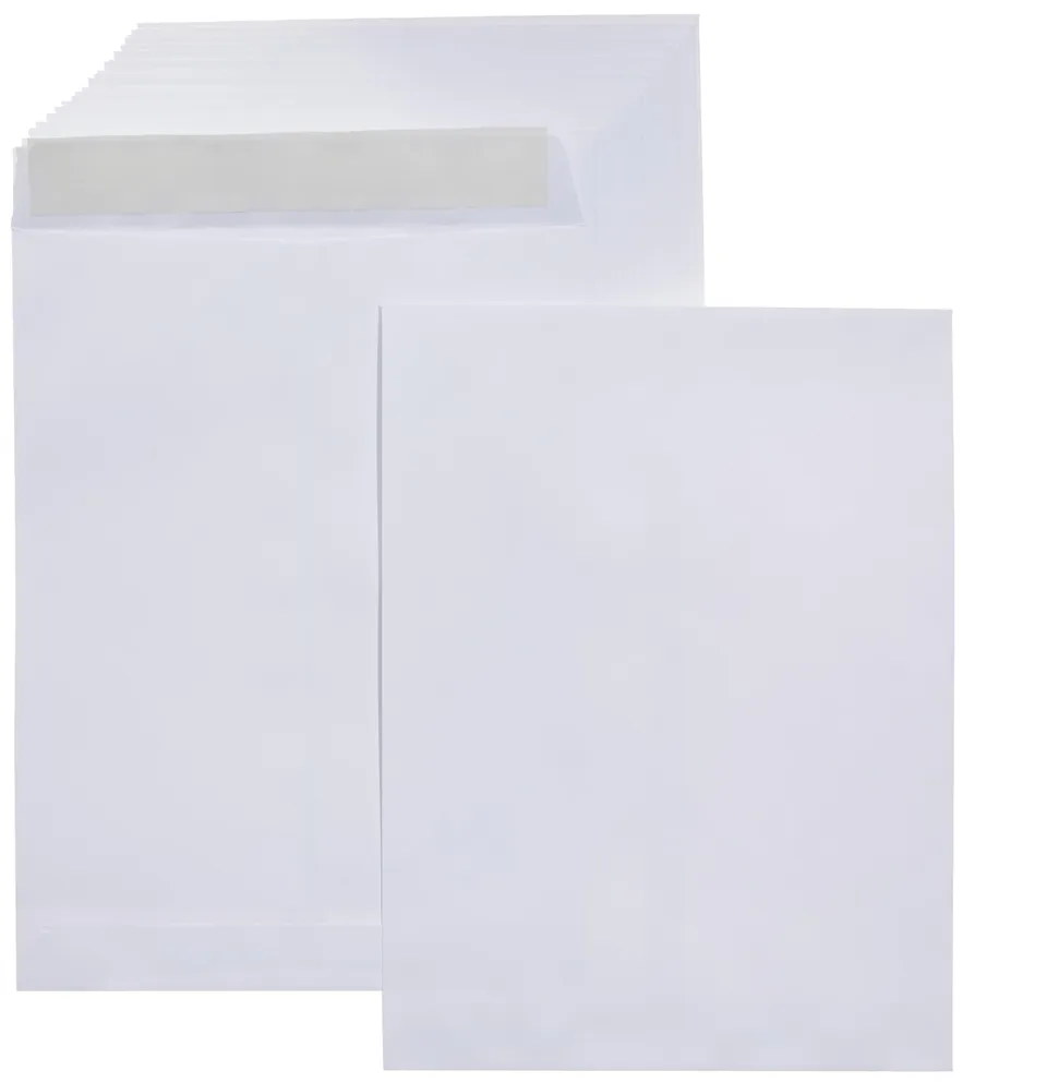 Amazon Basics Buste Catalogo Adesive 100 Pezzi Bianco