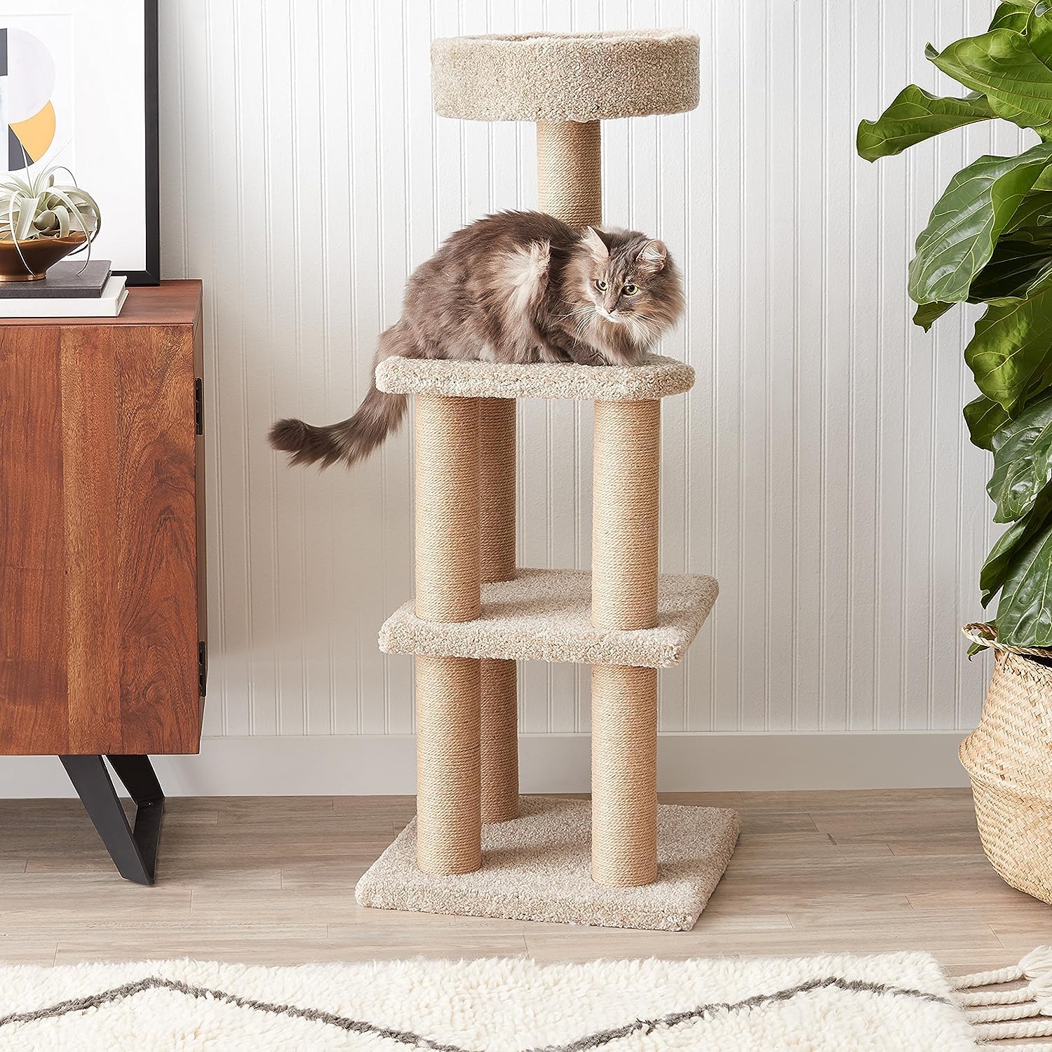 AmazonBasics Tiragraffi per Gatti Beige 117 cm 3 Piani