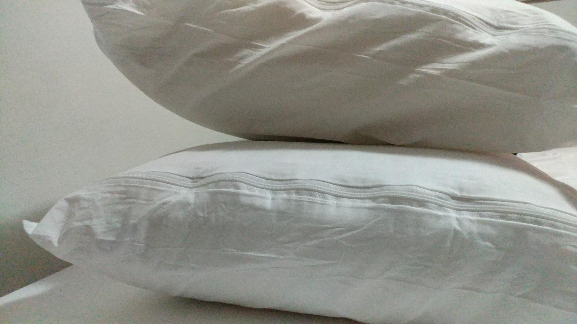AmazonBasics Federe Cuscino 50x80 Cotone Bianco 4 Pezzi