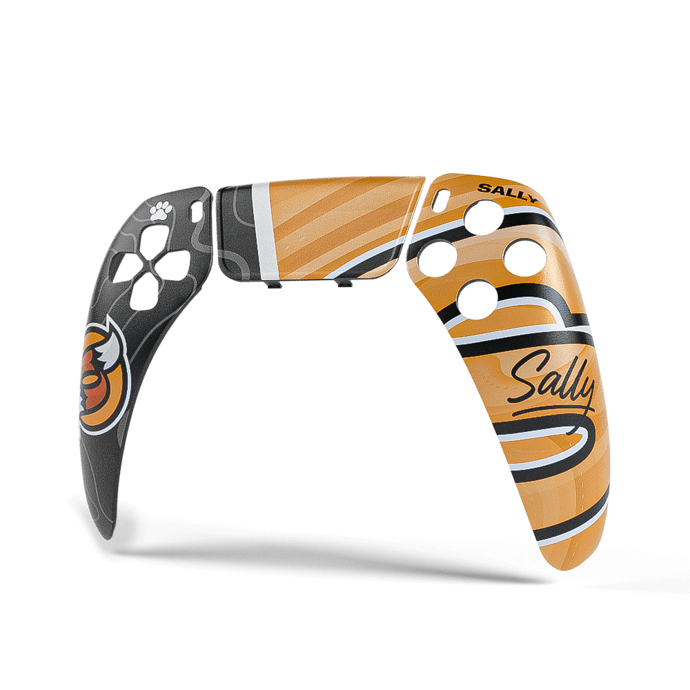 Aim Controller Sally cover PS5 snap