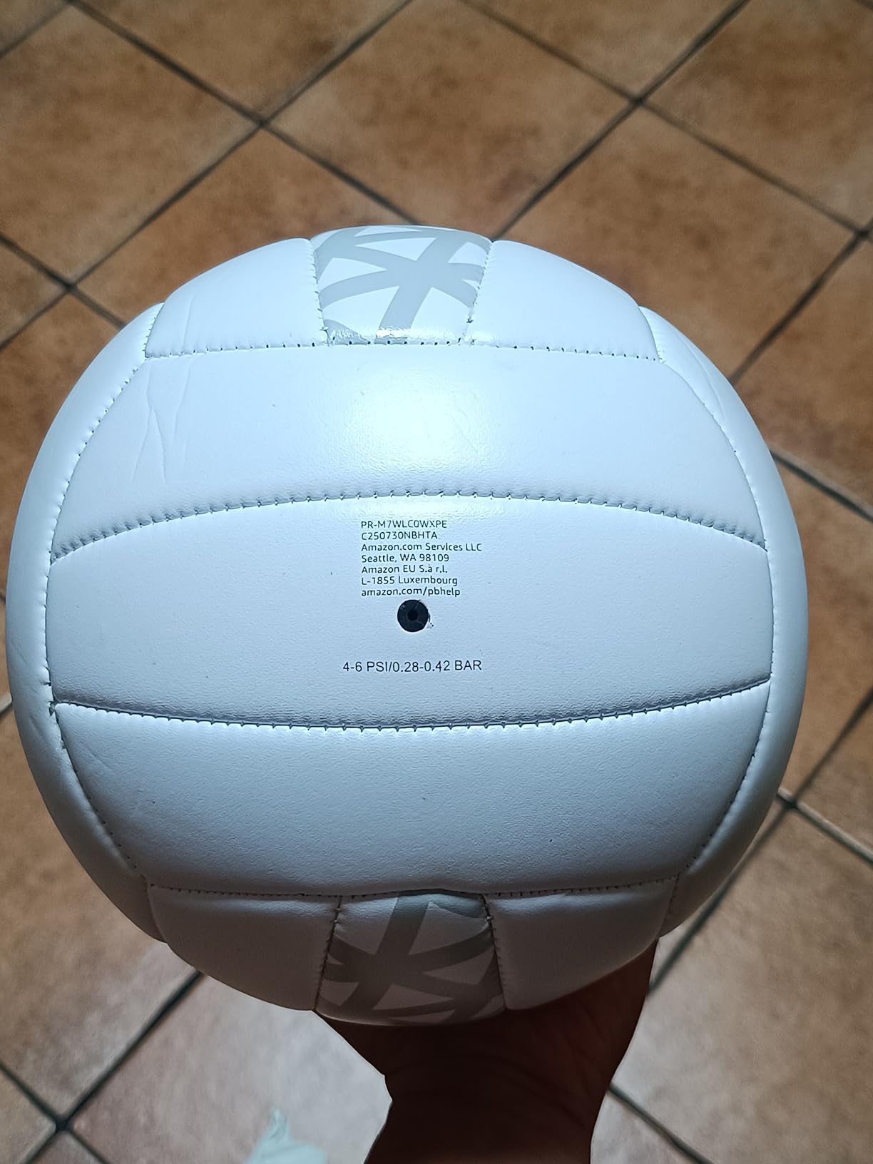 Amazon Basics Pallone Pallavolo Misura 5 con Pompa