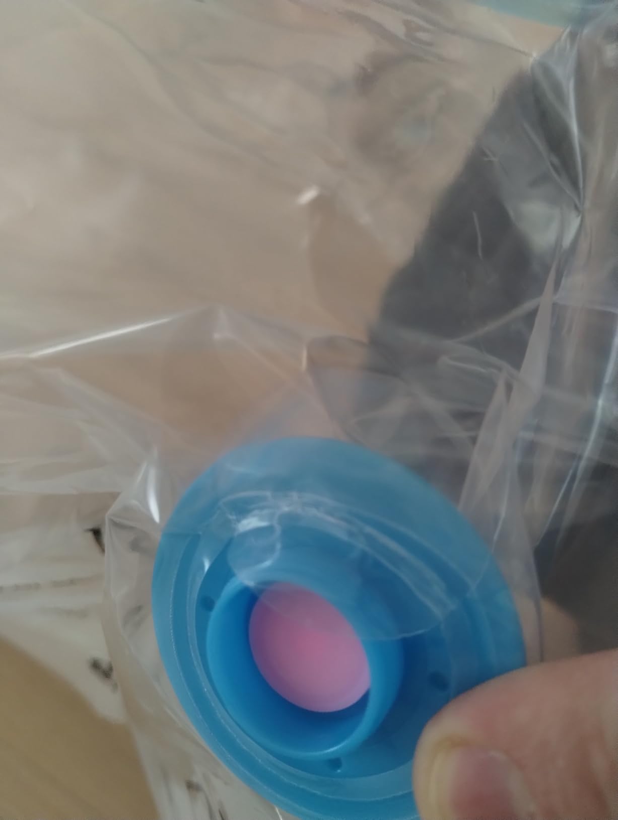 Amazon Basics sacchetti sottovuoto combo 6 pezzi con pompa