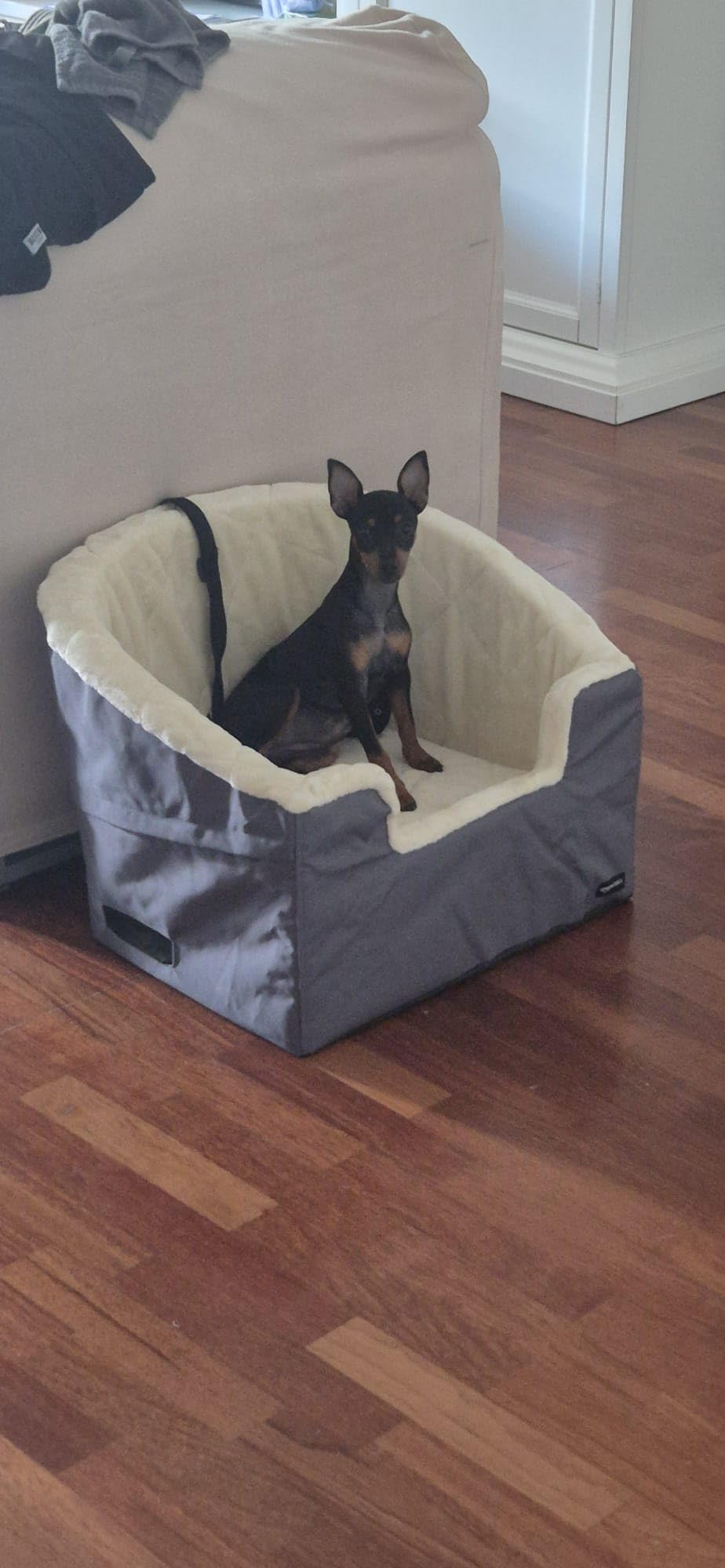 Amazon Basics Seggiolino Auto per Cani beige piccolo