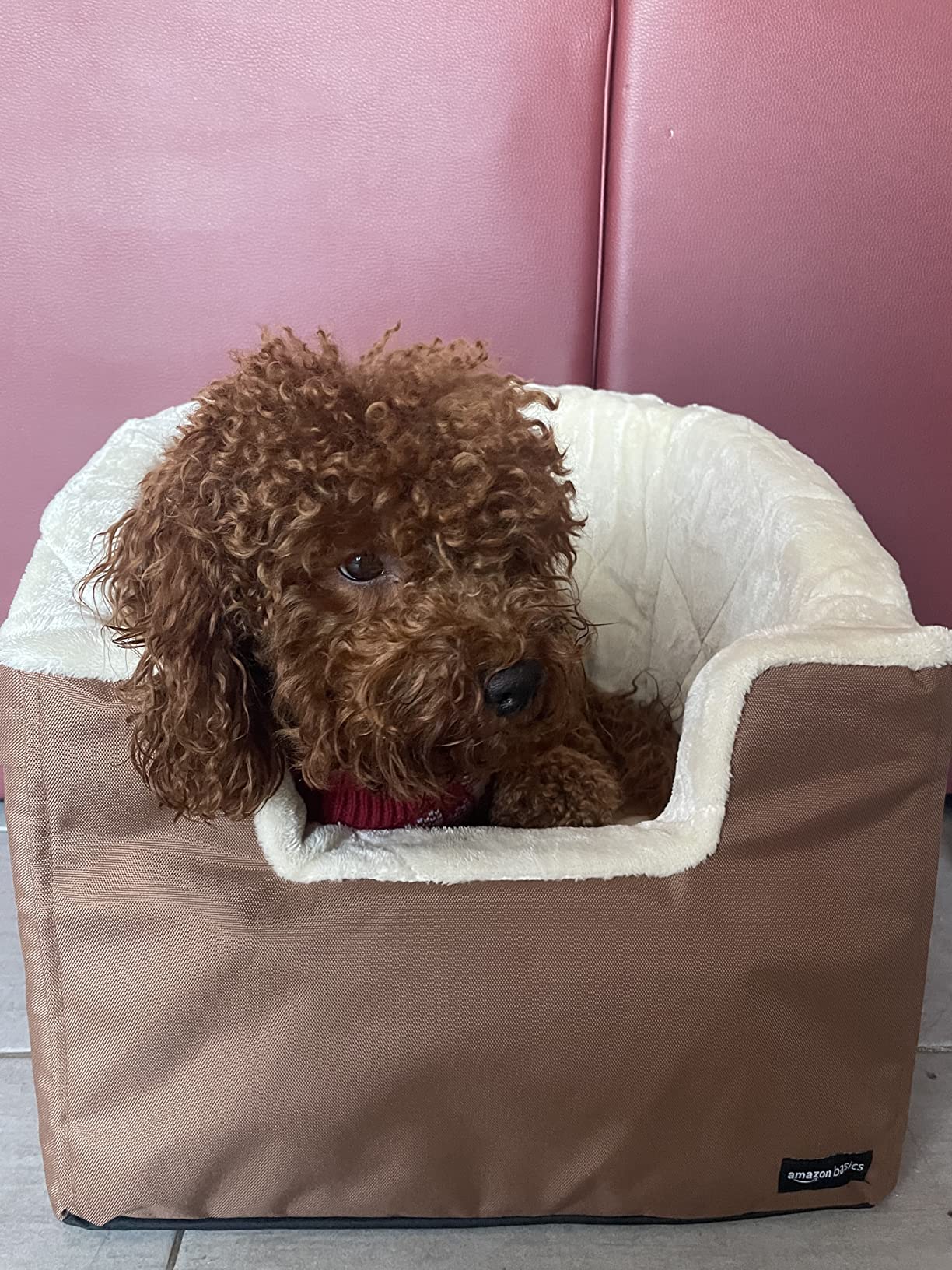 Amazon Basics Seggiolino Auto per Cani beige piccolo