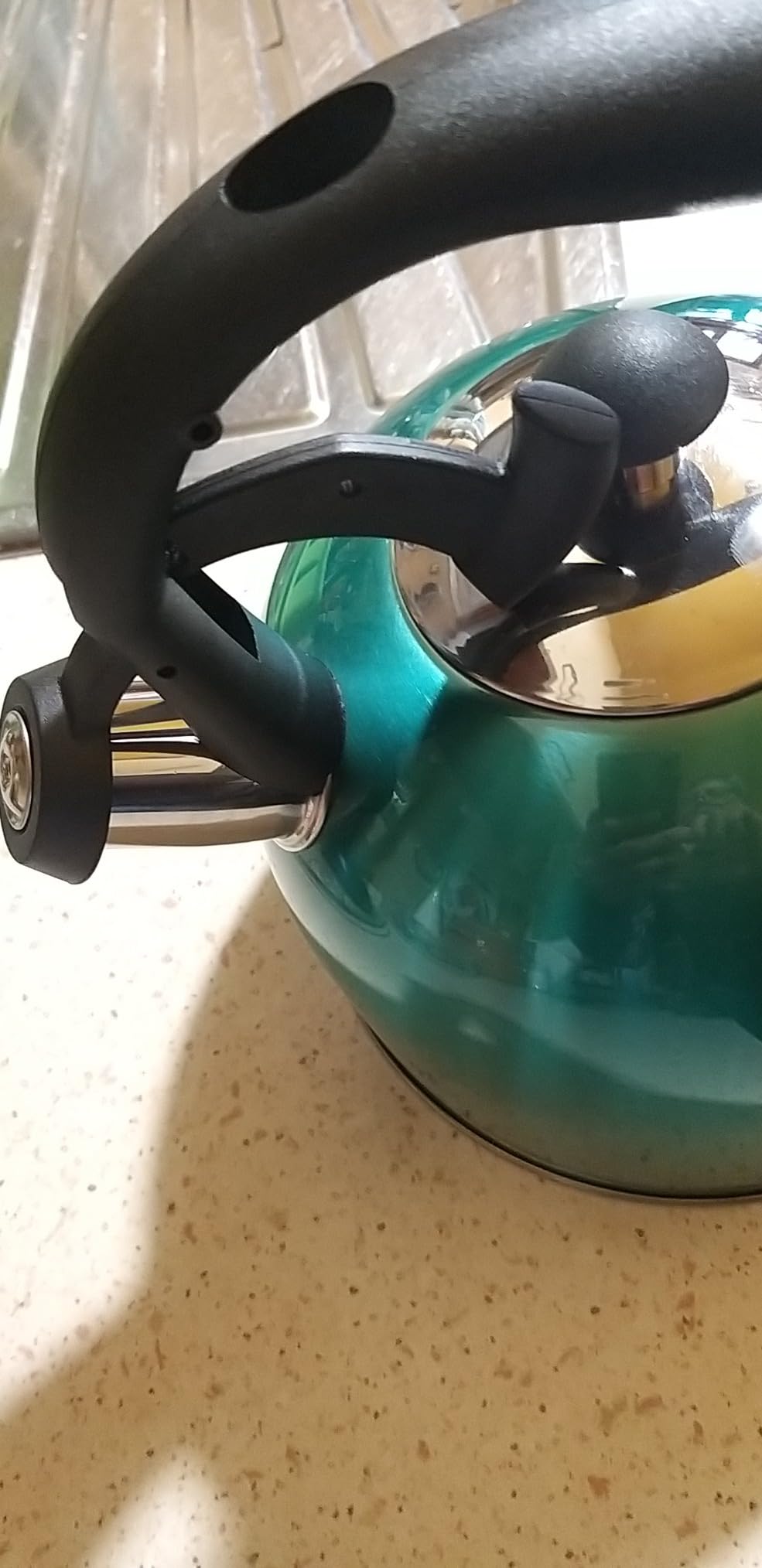 Amazon Basics Bollitore Acciaio Inox 2,3 L Blu Foglia Tè