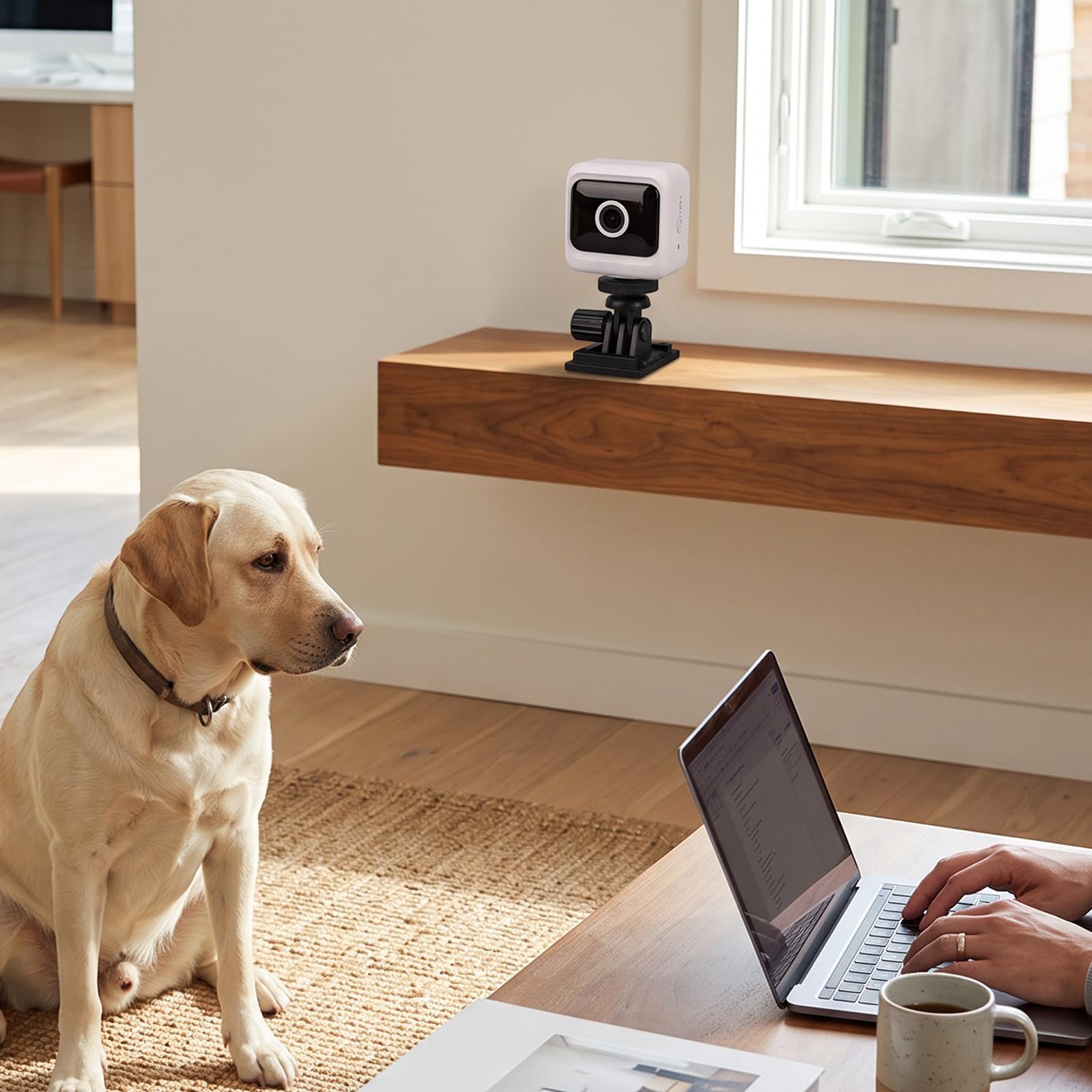 Elprico Telecamera Sicurezza Interni 1080P WiFi Bianca 130°