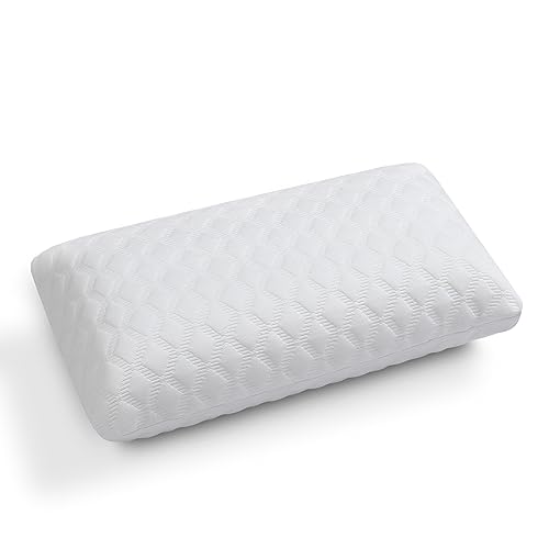 Amazon Basics Cuscino Viaggio Memory Foam 42x24 cm