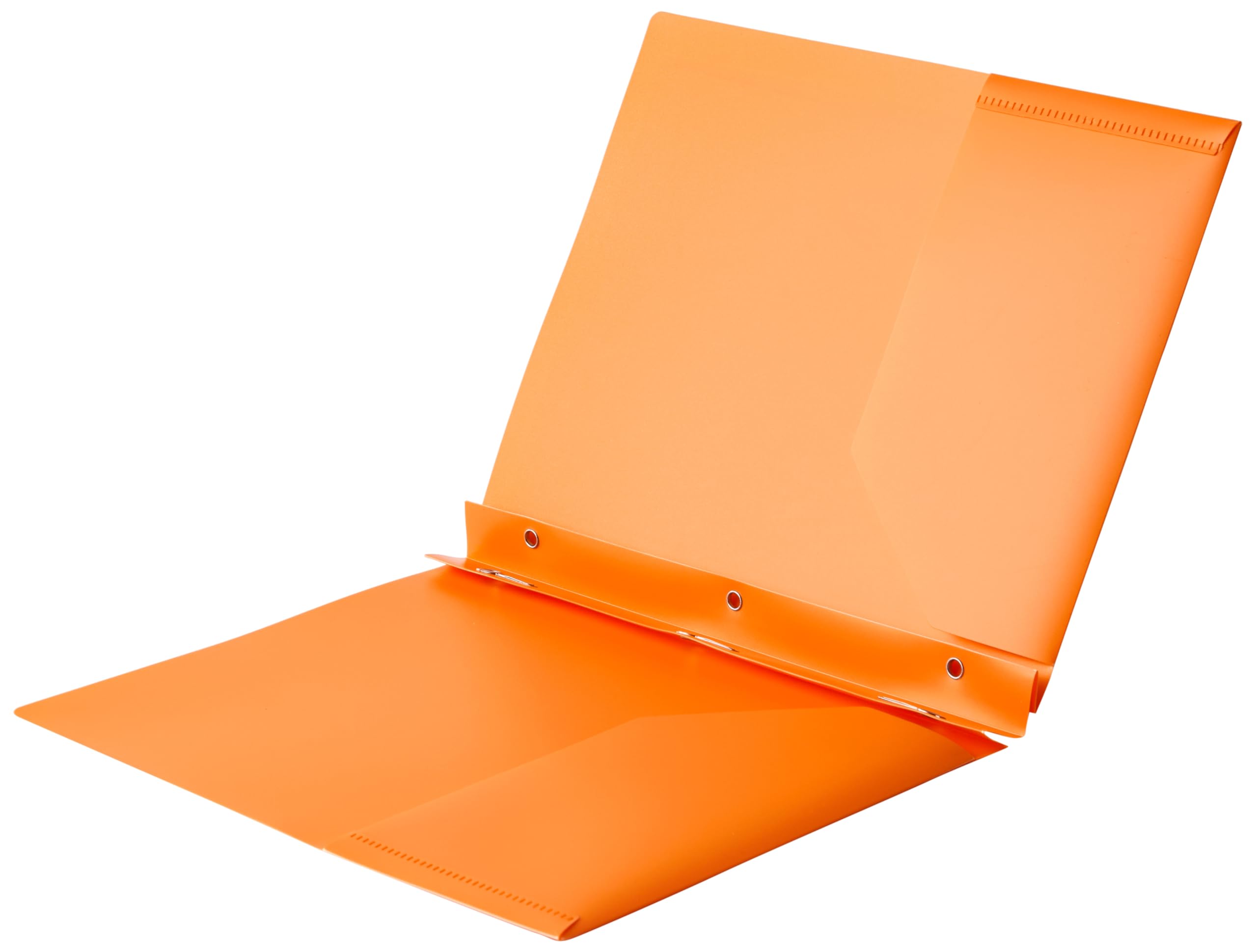 Amazon Basics Cartelle Plastica con Tasche 12 Pezzi Colori