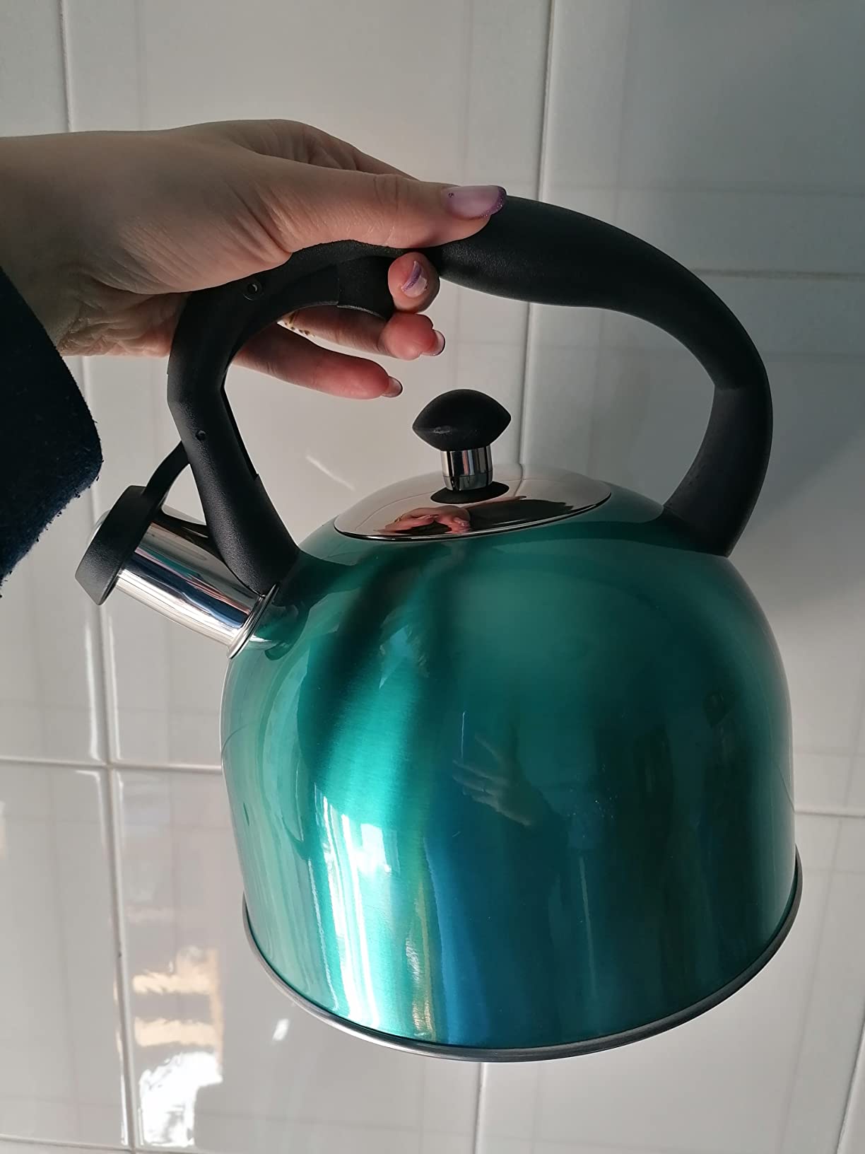 Amazon Basics Bollitore Acciaio Inox 2,3 L Blu Foglia Tè