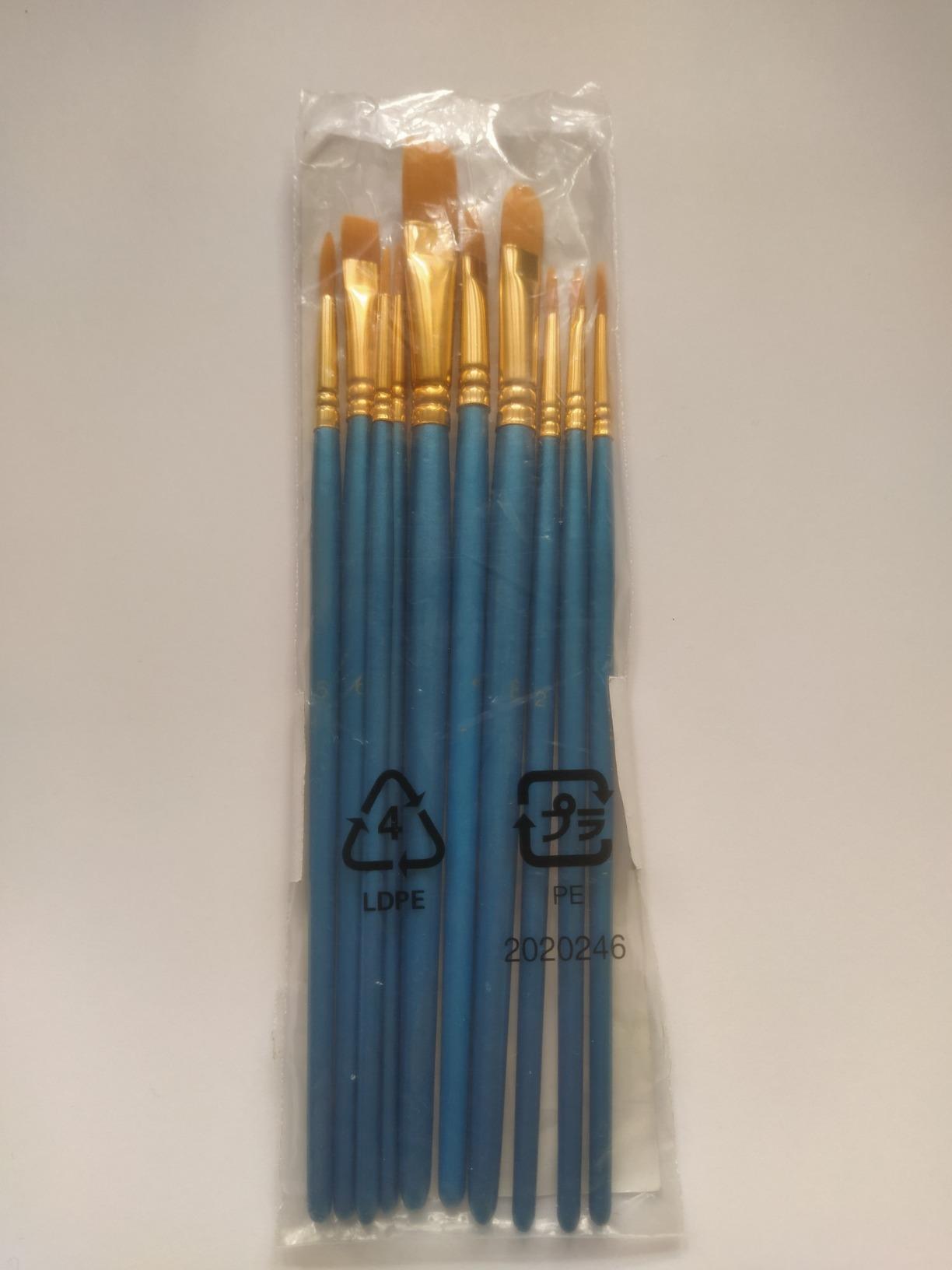 AmazonBasics Set 10 Pennelli Pittura Blu Acrilico
