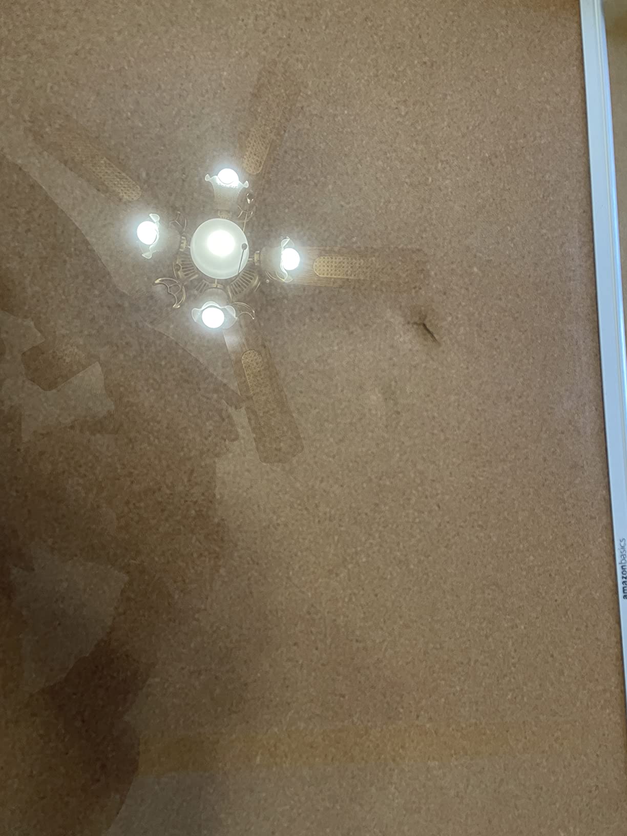 Amazon Basics Bacheca Sughero 90x60 cm Alluminio Argento