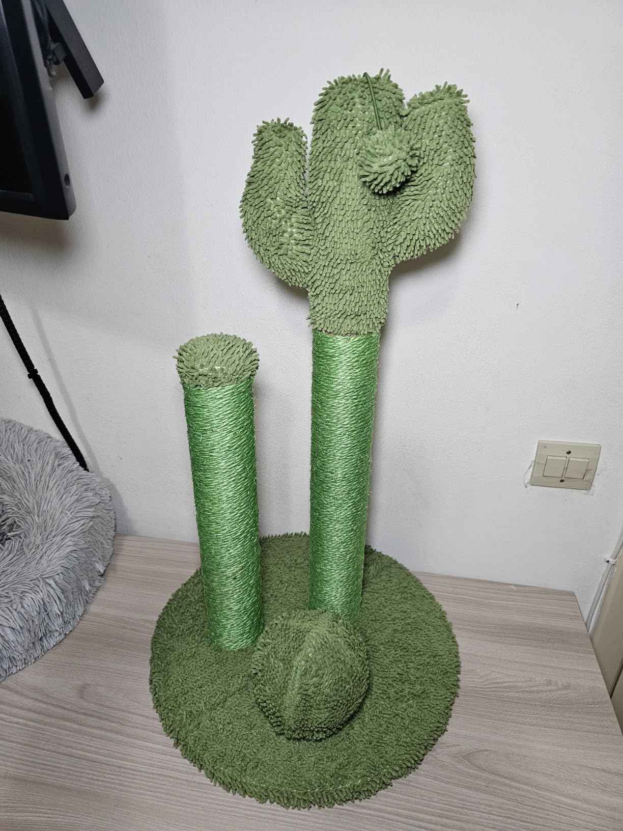Amazon Basics Tiragraffi Cactus Grande 68 cm Verde Sisal
